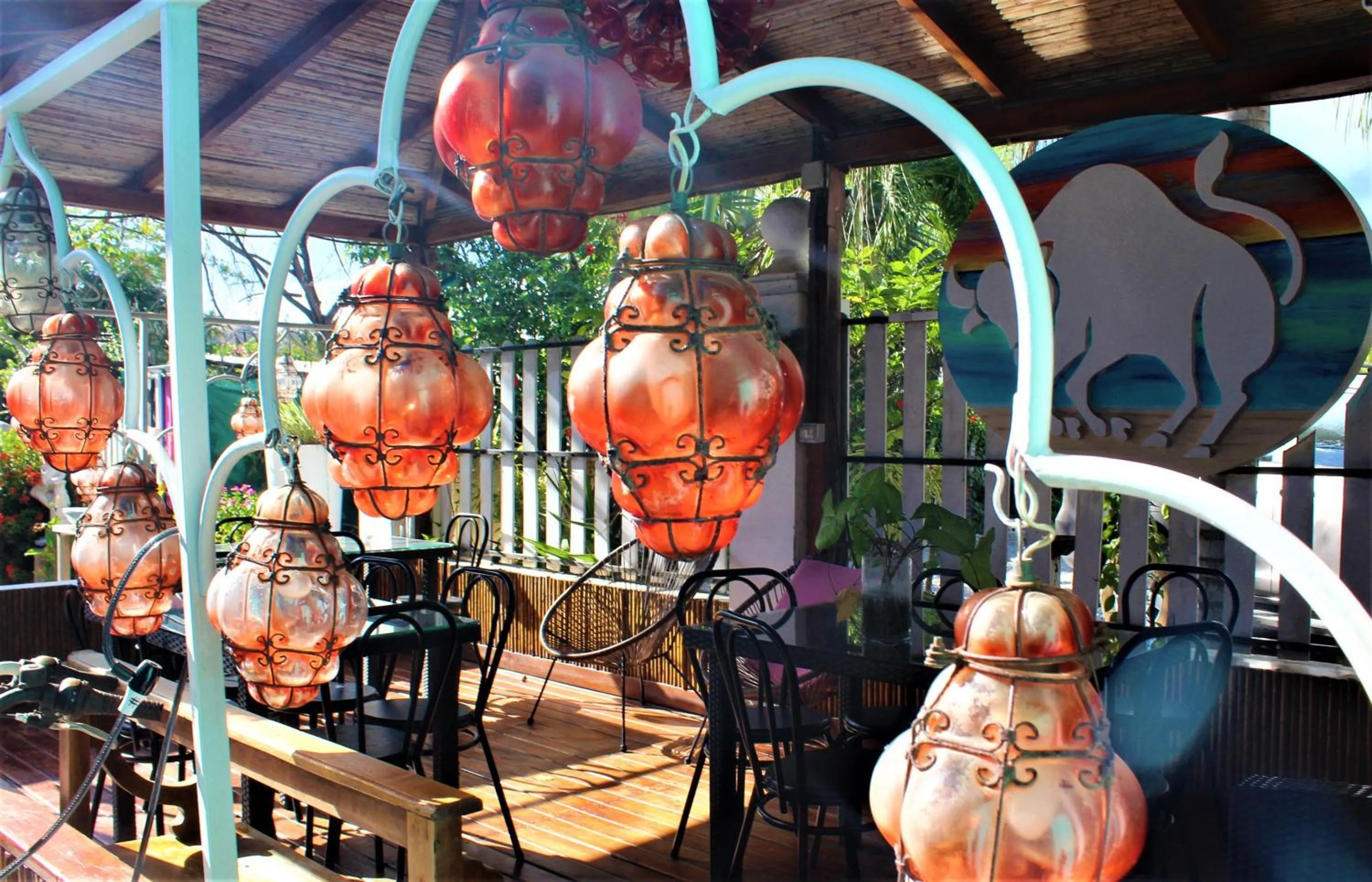 Activities in Toro Blanco