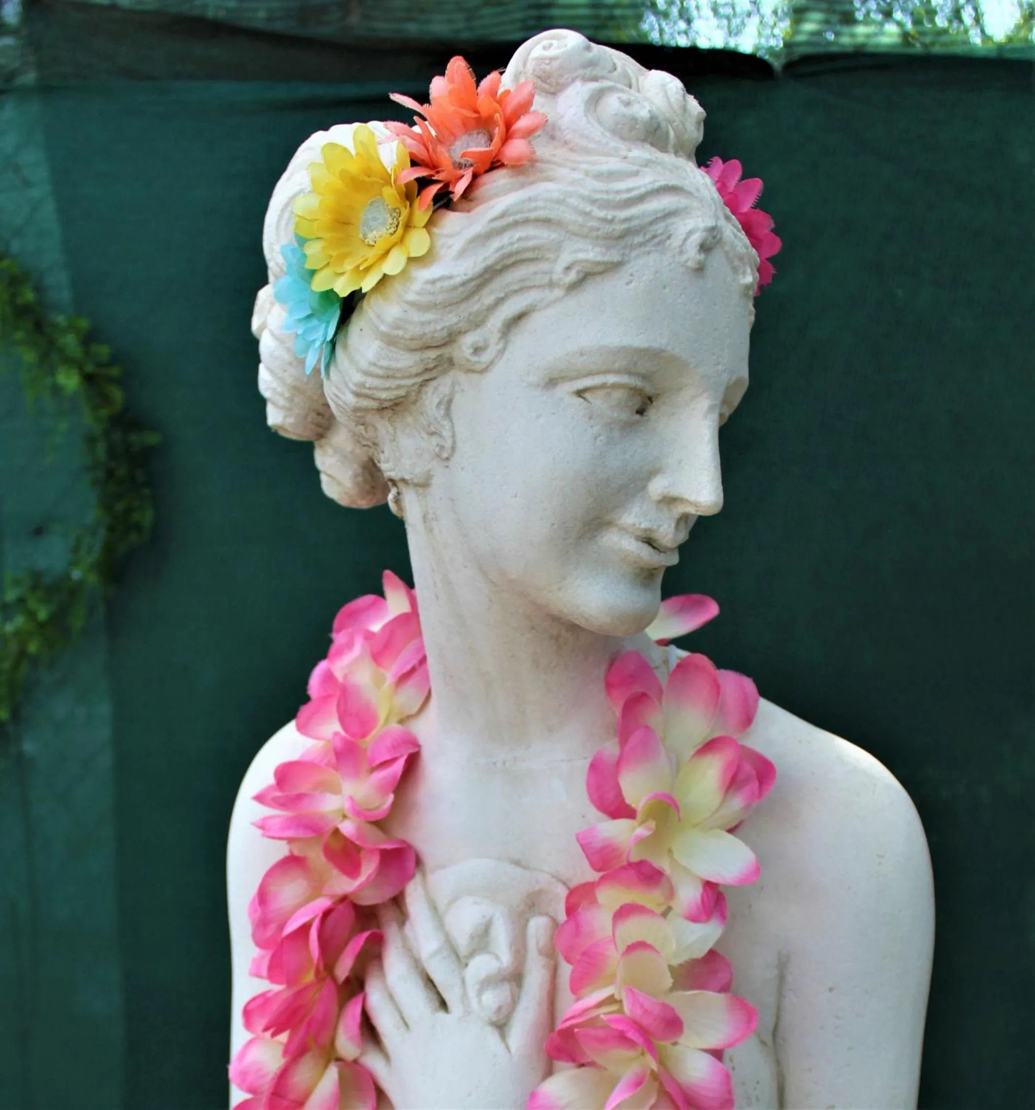 Garden in Toro Blanco