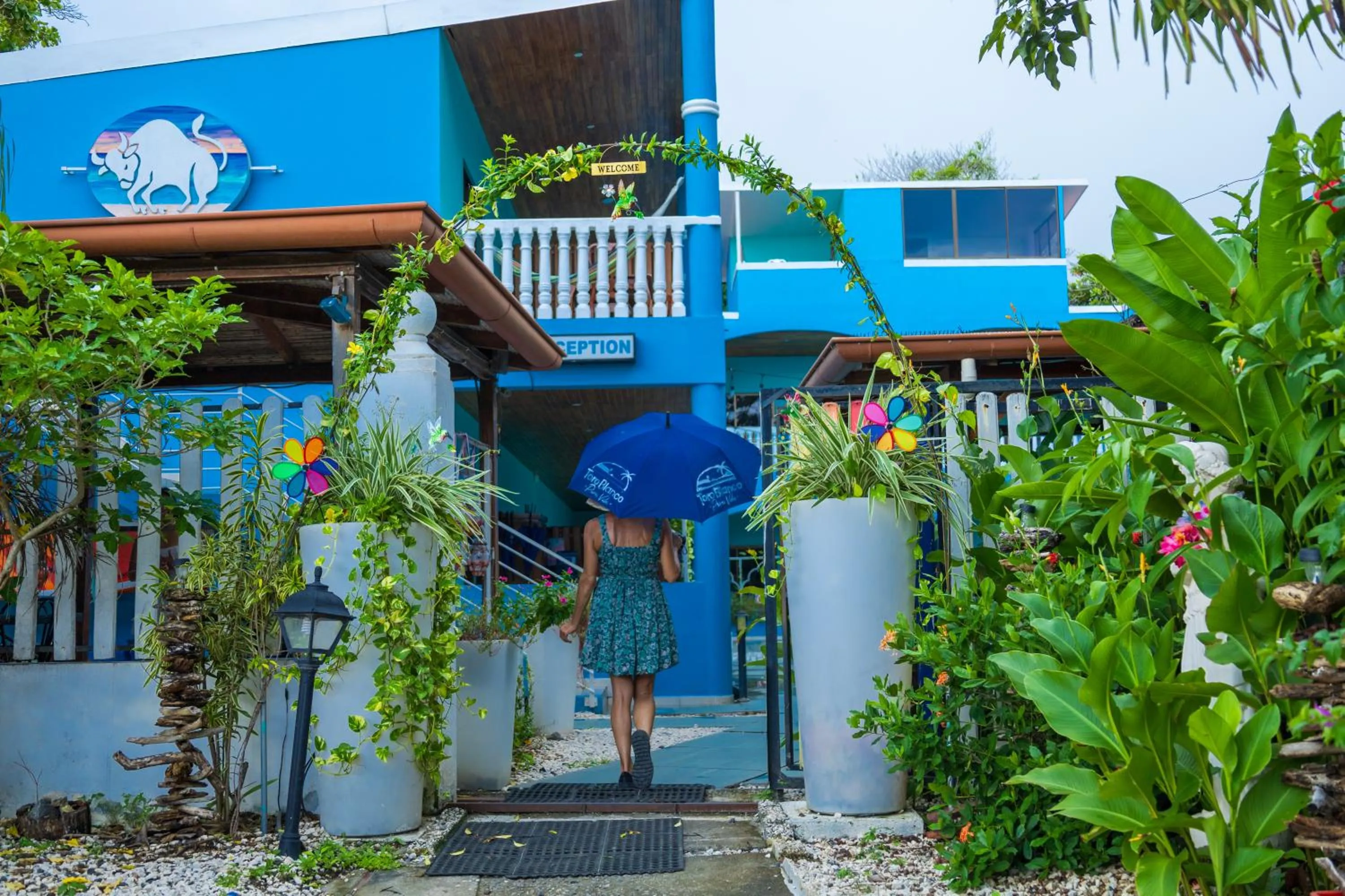 Property building in Toro Blanco