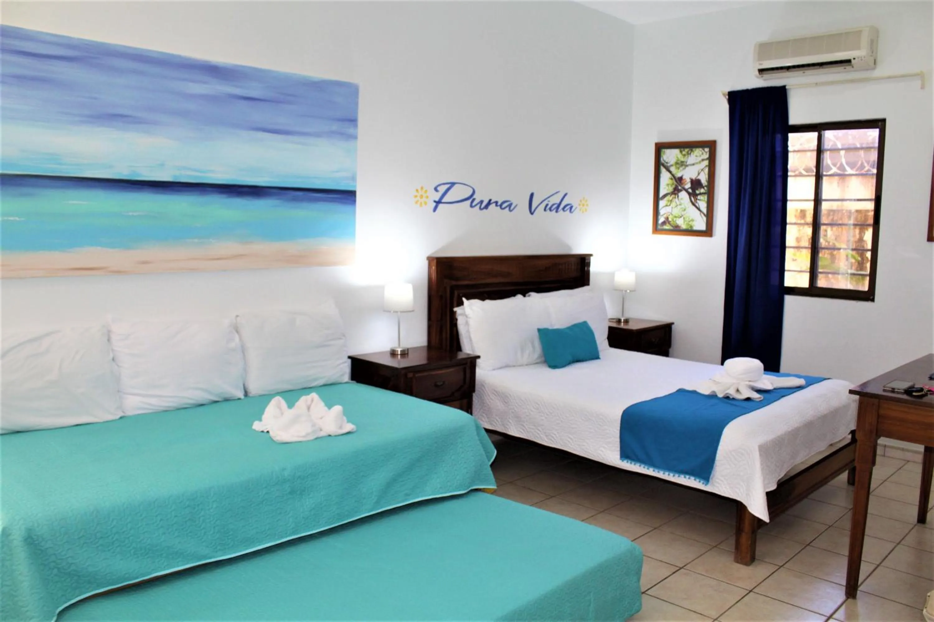 Garden, Bed in Toro Blanco