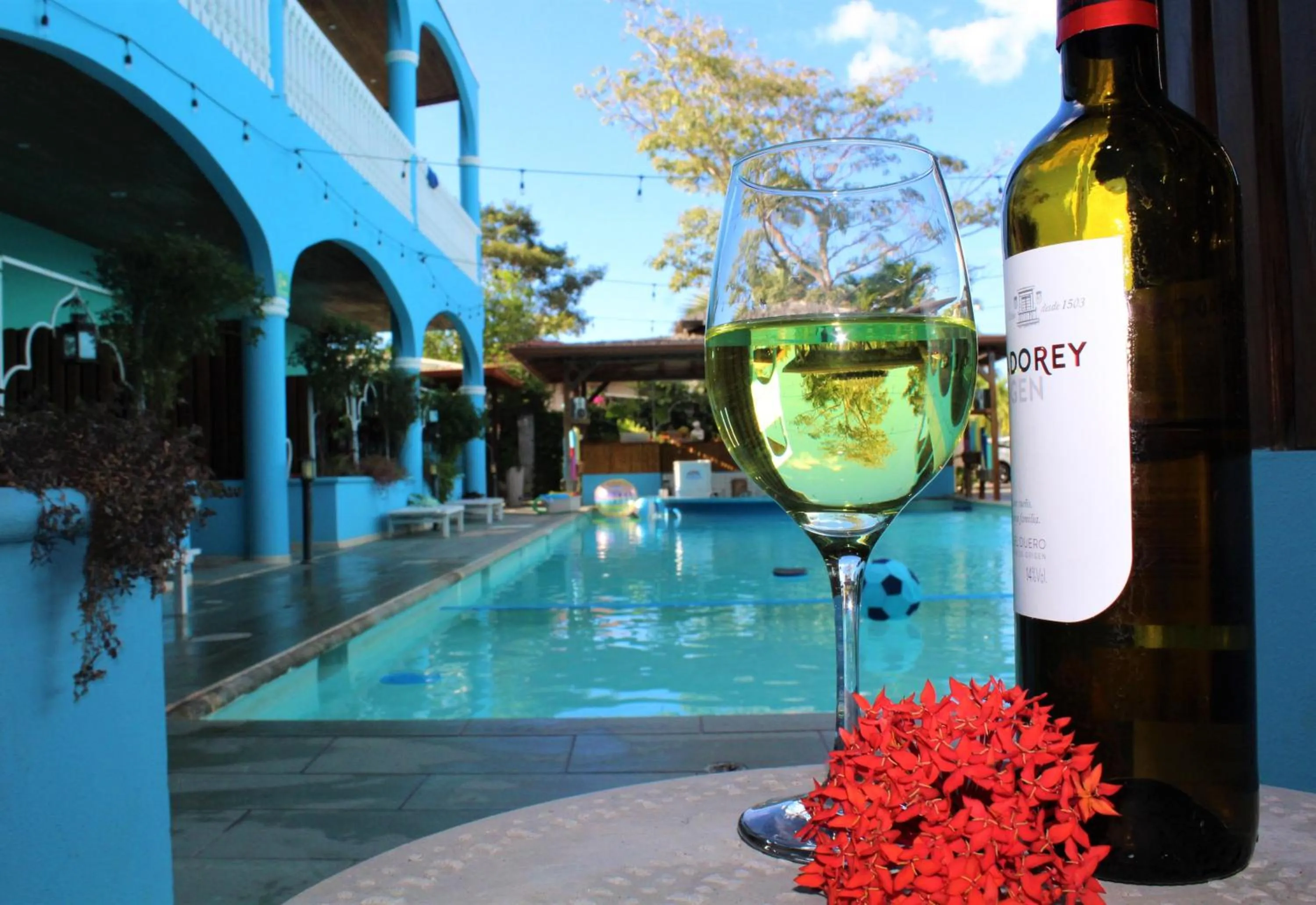 View (from property/room) in Toro Blanco