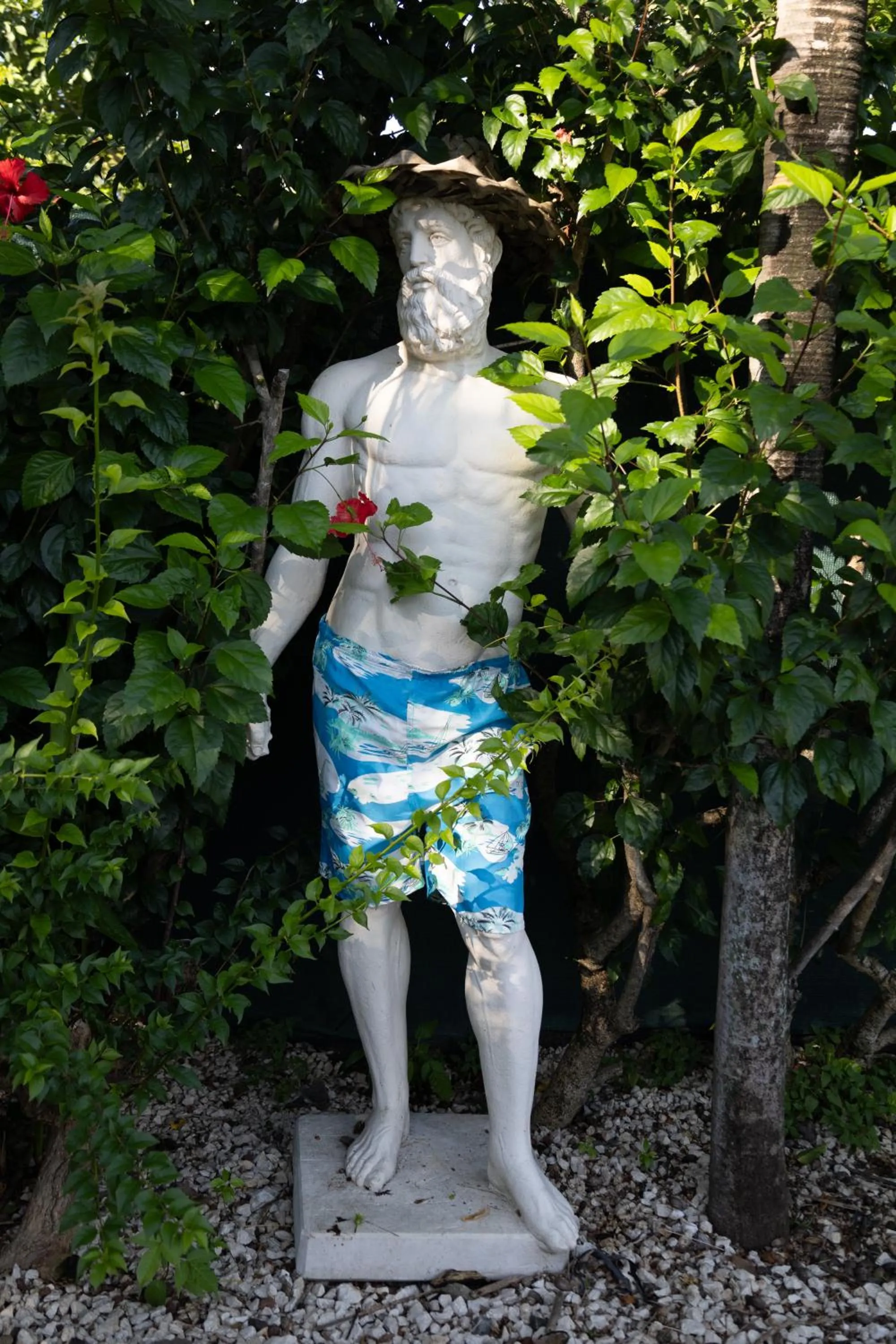 Garden in Toro Blanco