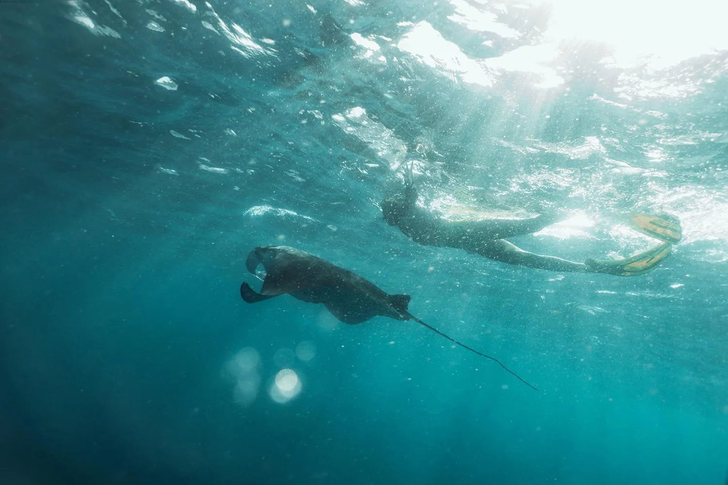 Natural landscape in Seven Angels Villa and Hostel