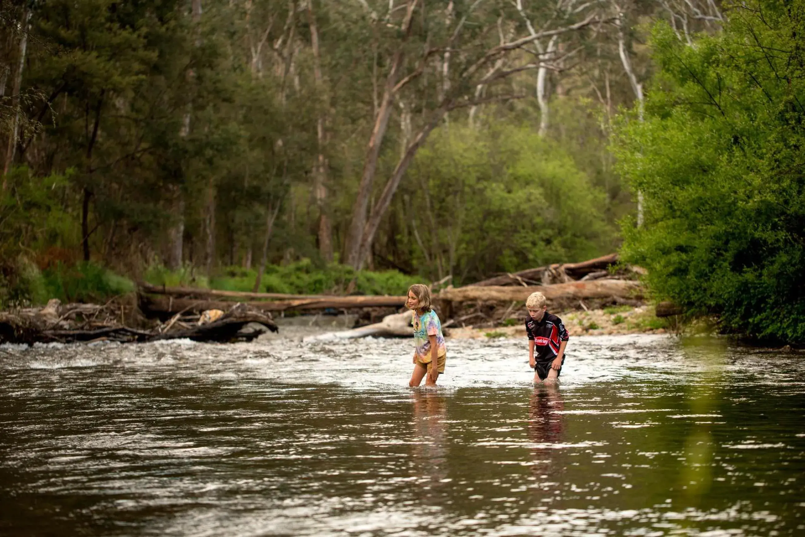 River view in Discovery Parks - Bright River view in Discovery Parks - Bright