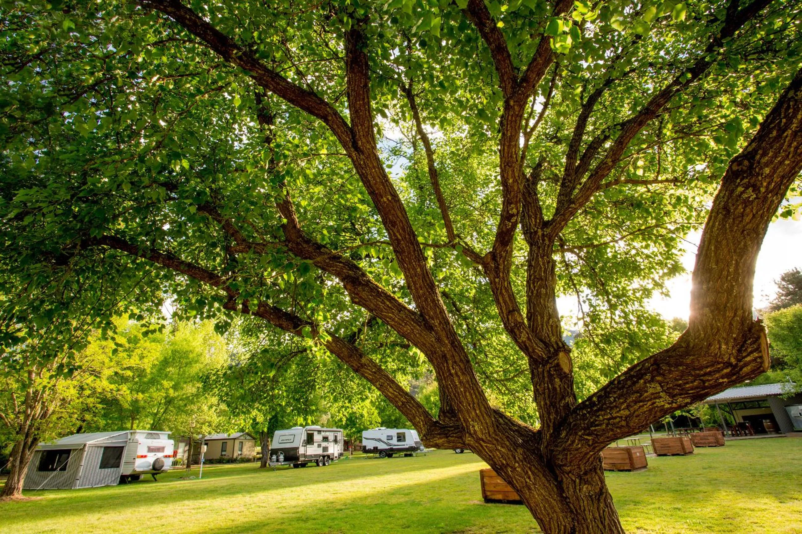 Garden view in Discovery Parks - Bright