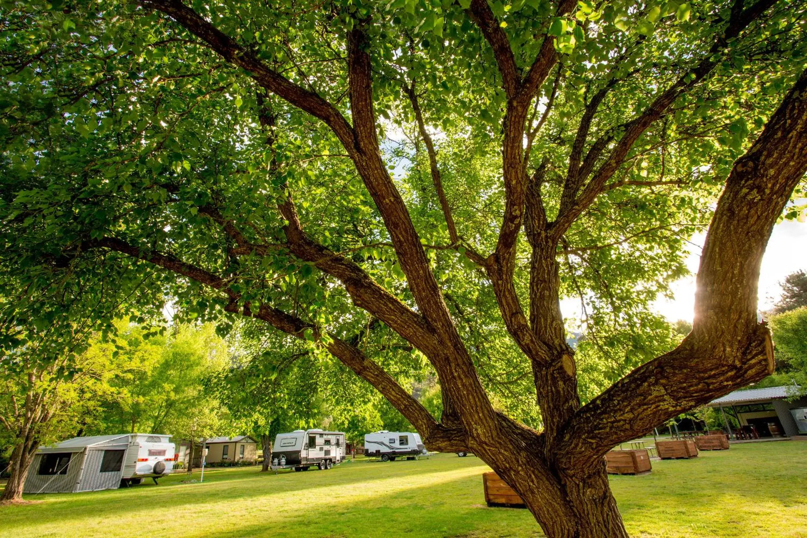 Garden view in Discovery Parks - Bright Garden view in Discovery Parks - Bright