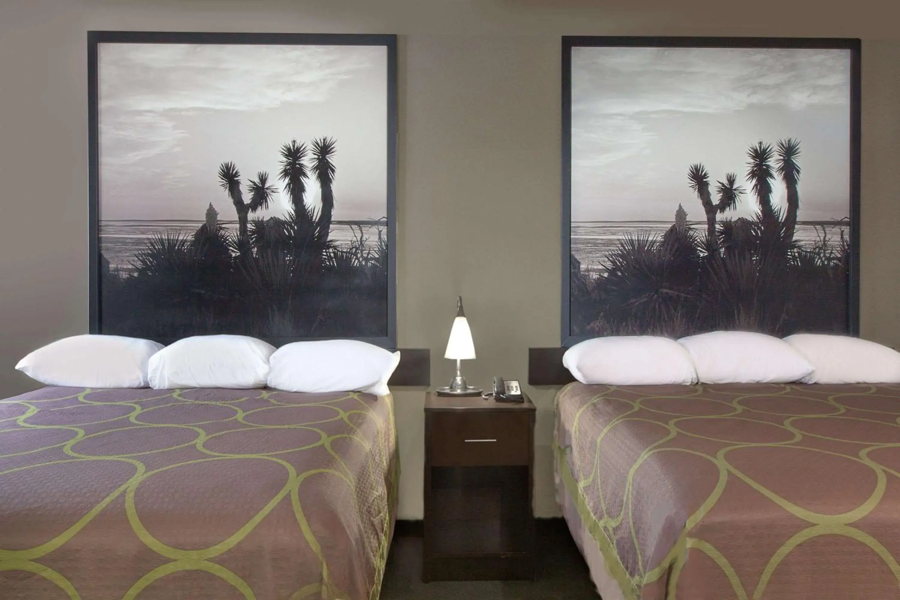 Photo of the whole room, Bed in Super 8 by Wyndham Victoria/North/Mall Area Photo of the whole room, Bed in Super 8 by Wyndham Victoria/North/Mall Area