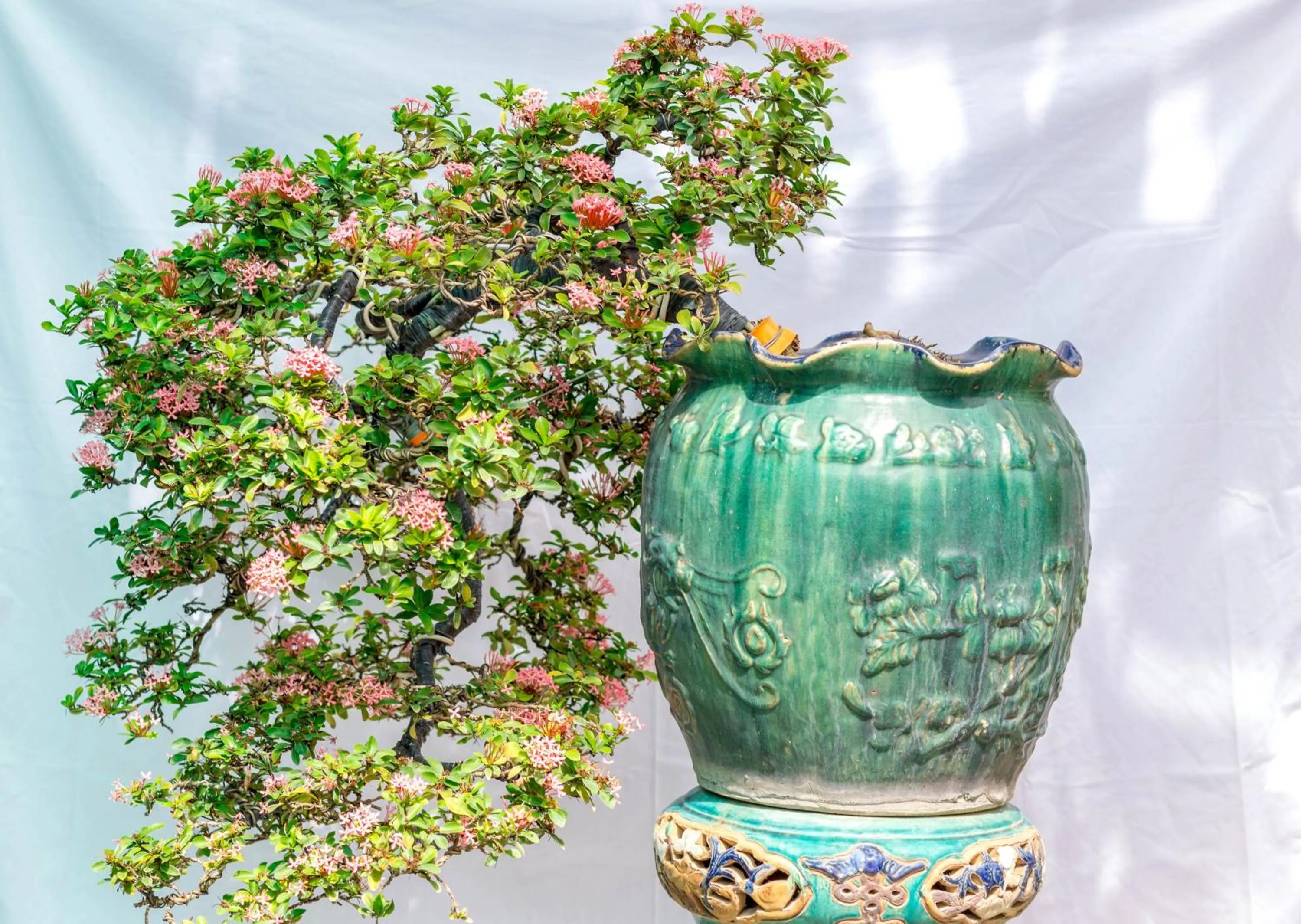 Decorative detail in Bonsai Villa Hoi An