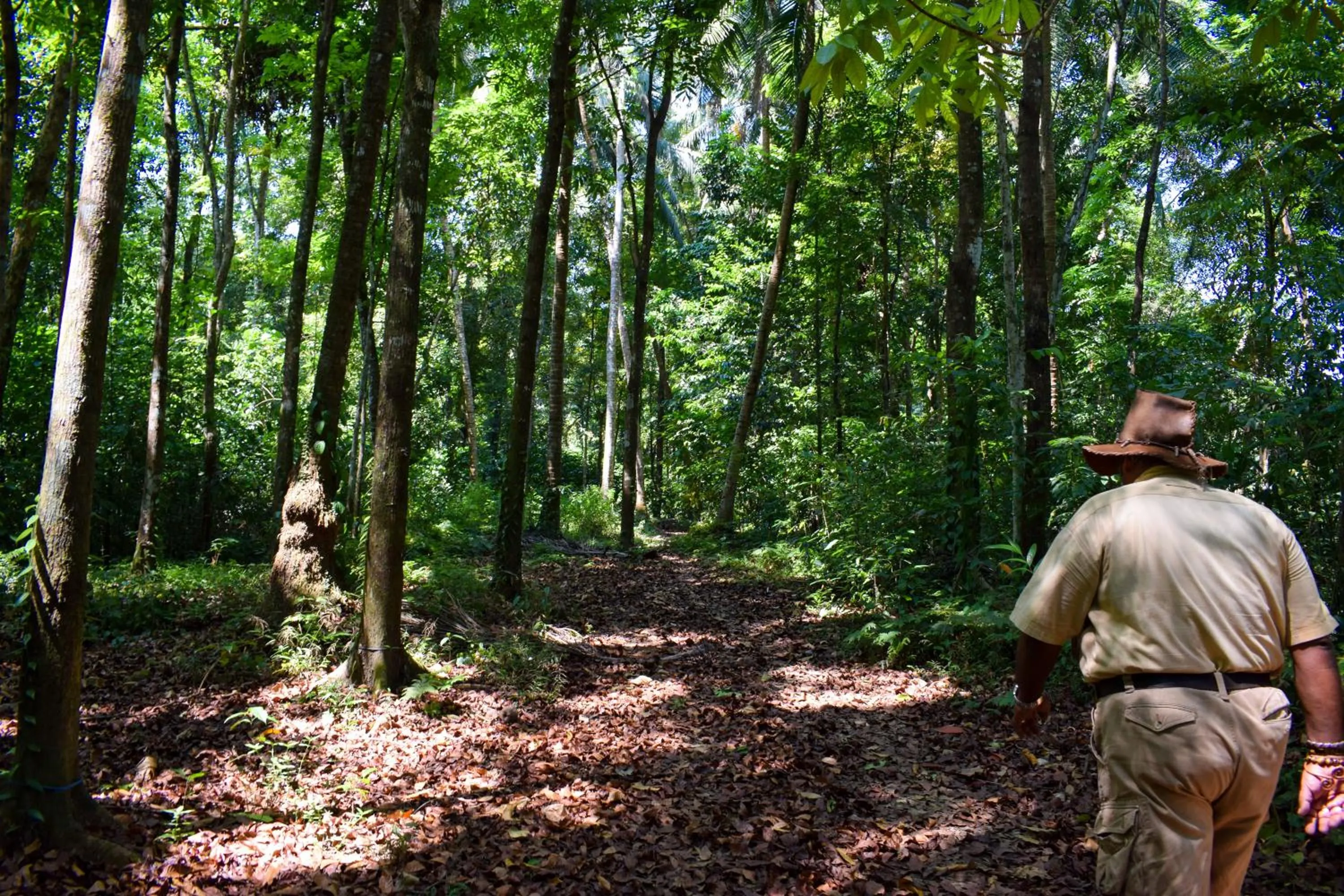 Natural landscape in Rafters Retreat