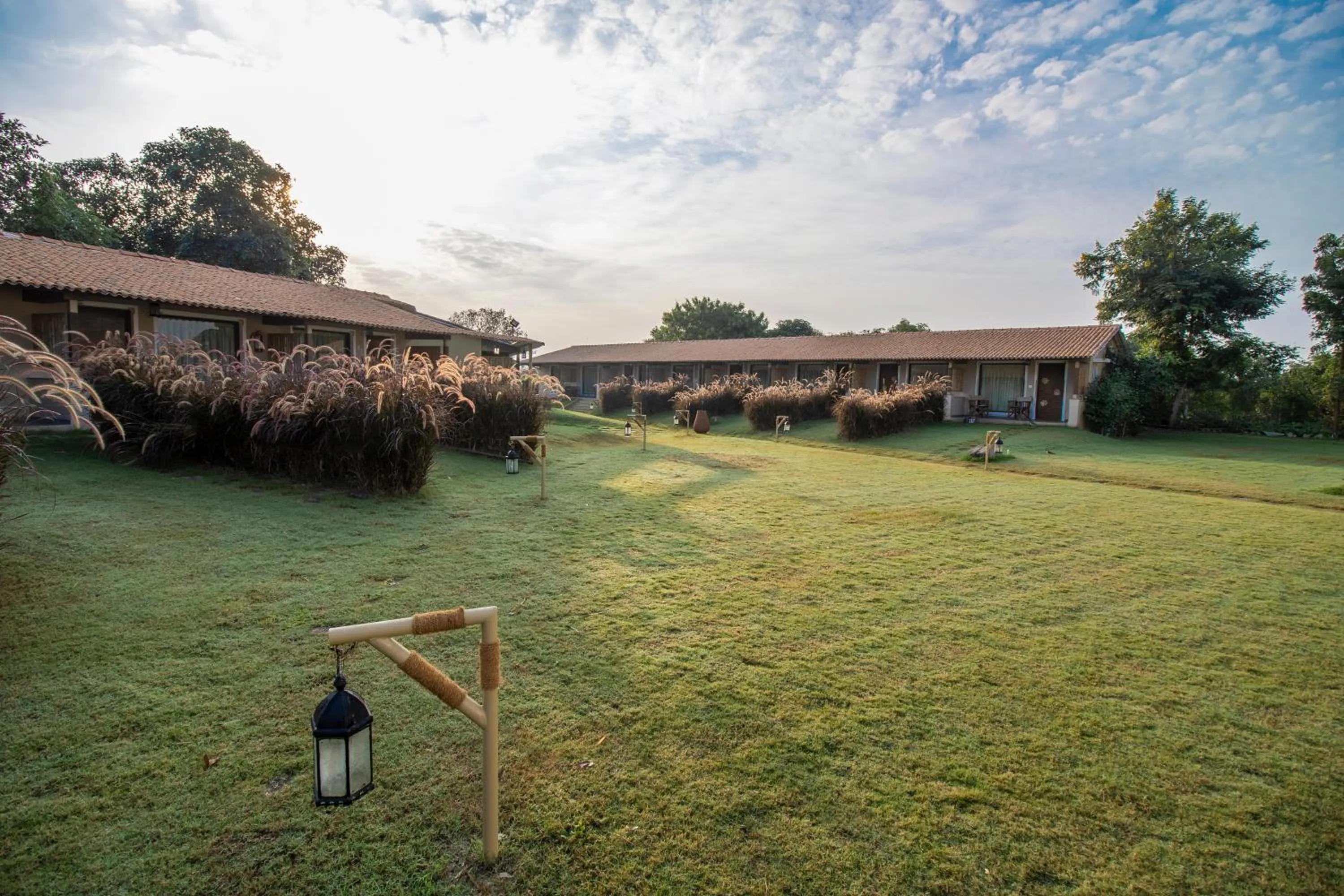Property building in Asiatic Lion Lodge