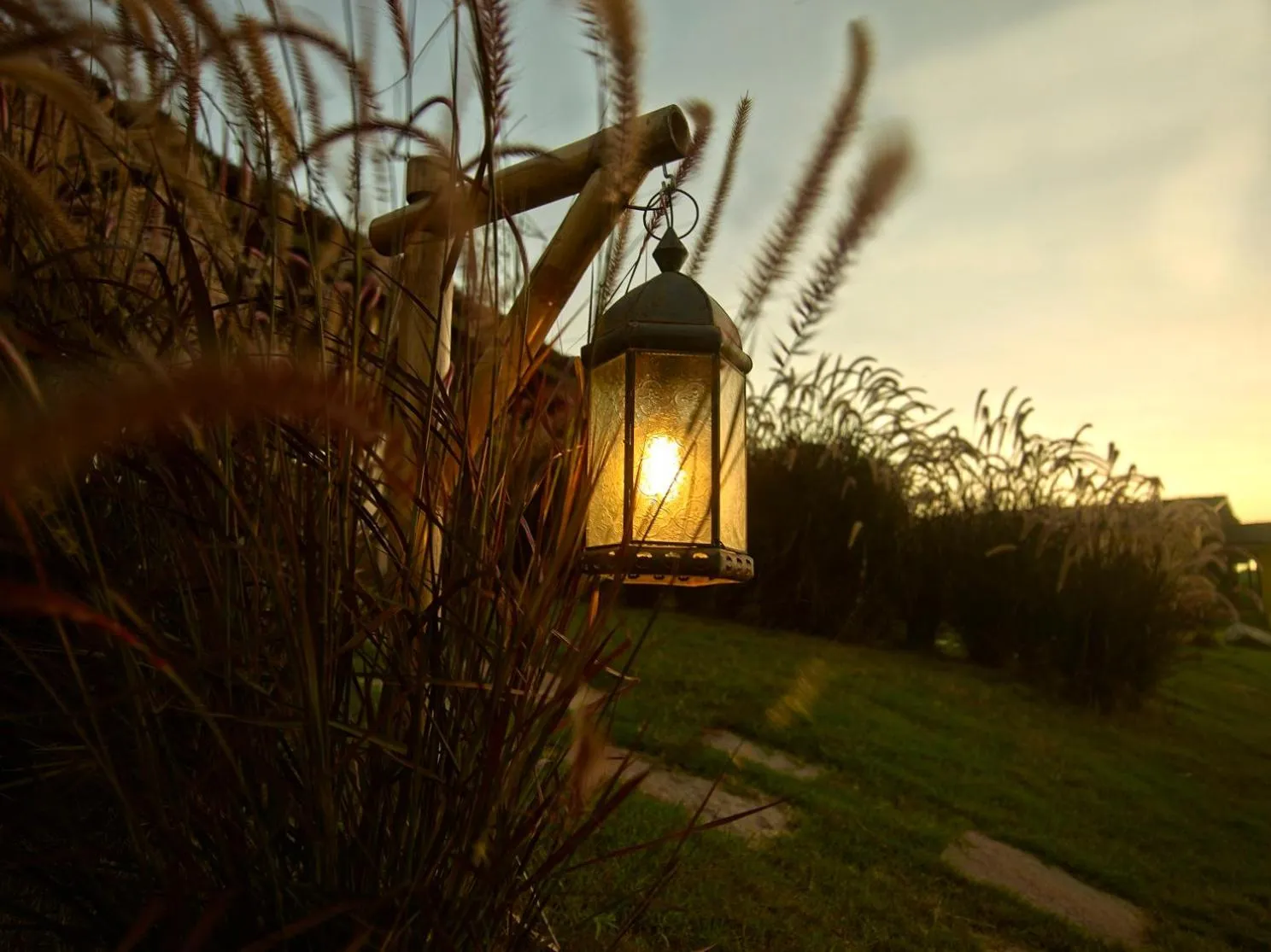 Garden in Asiatic Lion Lodge