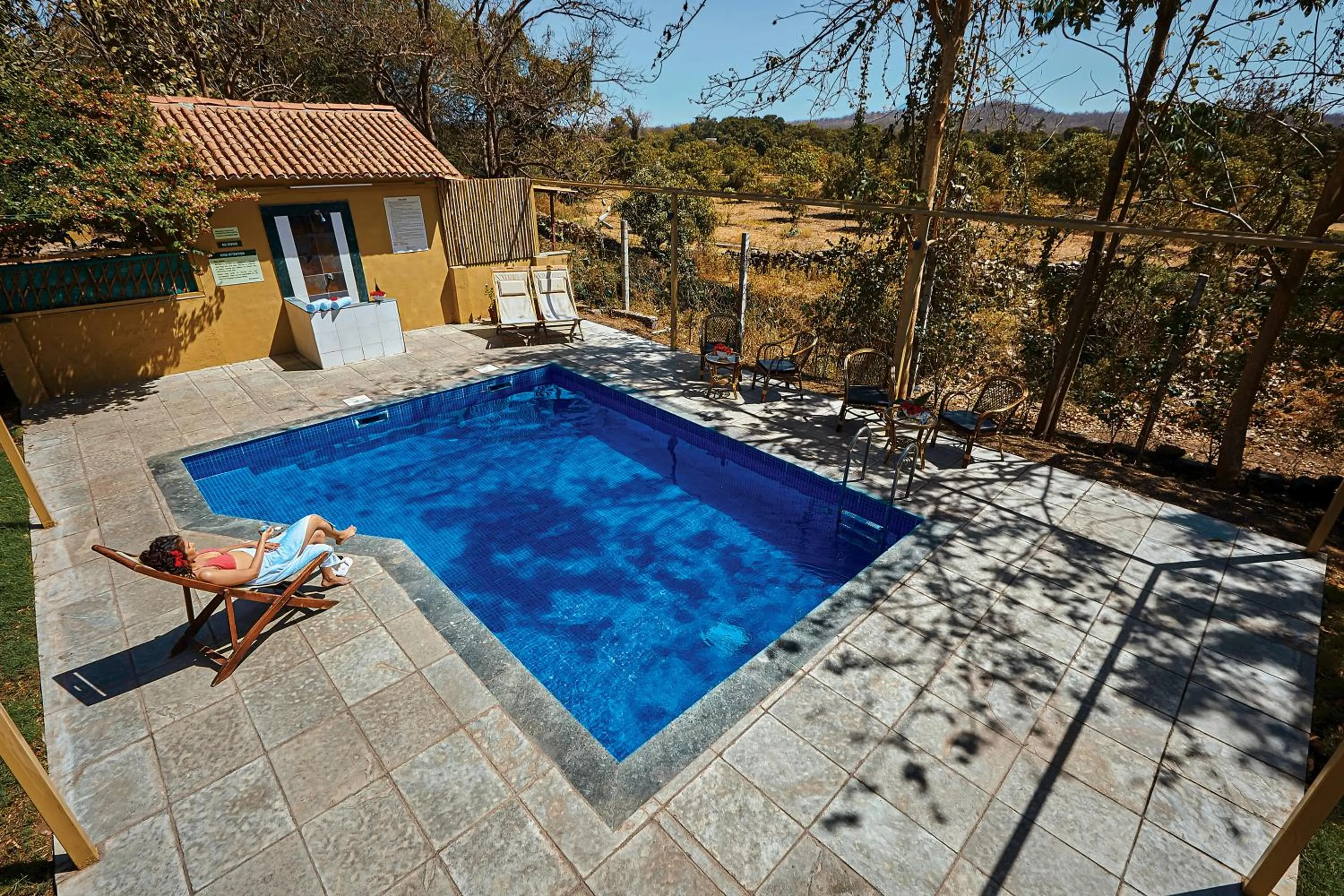 Swimming pool in Asiatic Lion Lodge