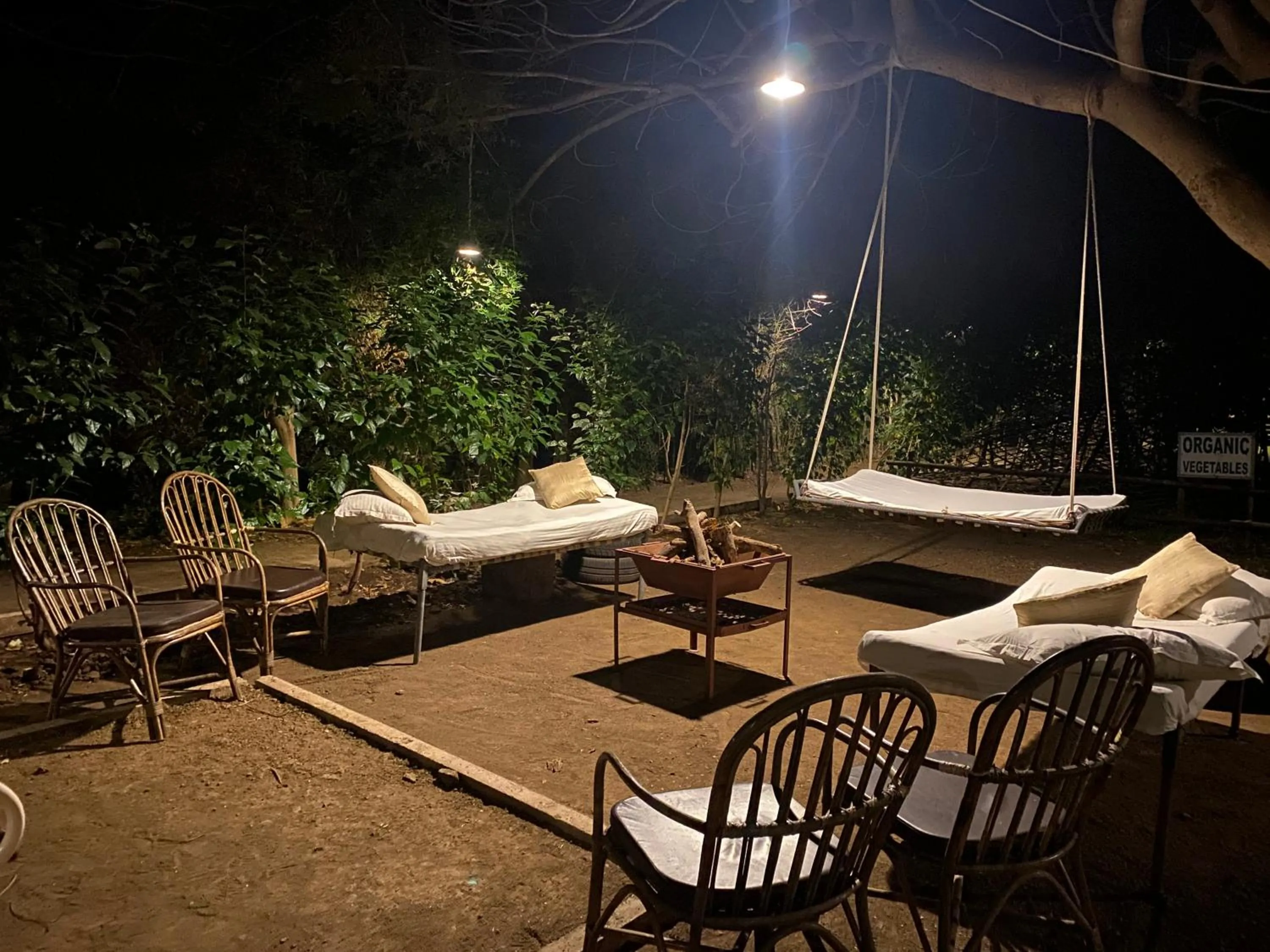 Seating area in Asiatic Lion Lodge