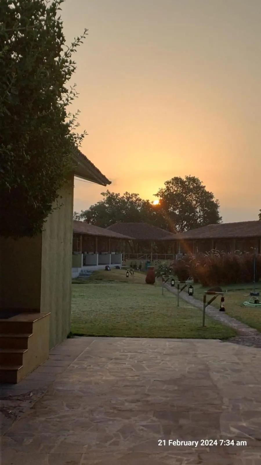 Property building in Asiatic Lion Lodge