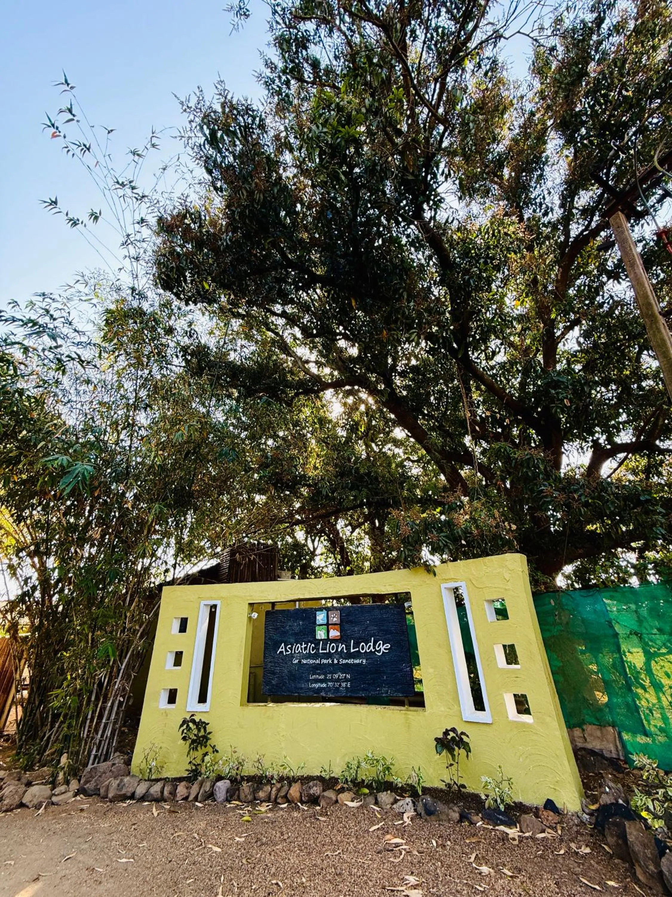 Property building in Asiatic Lion Lodge