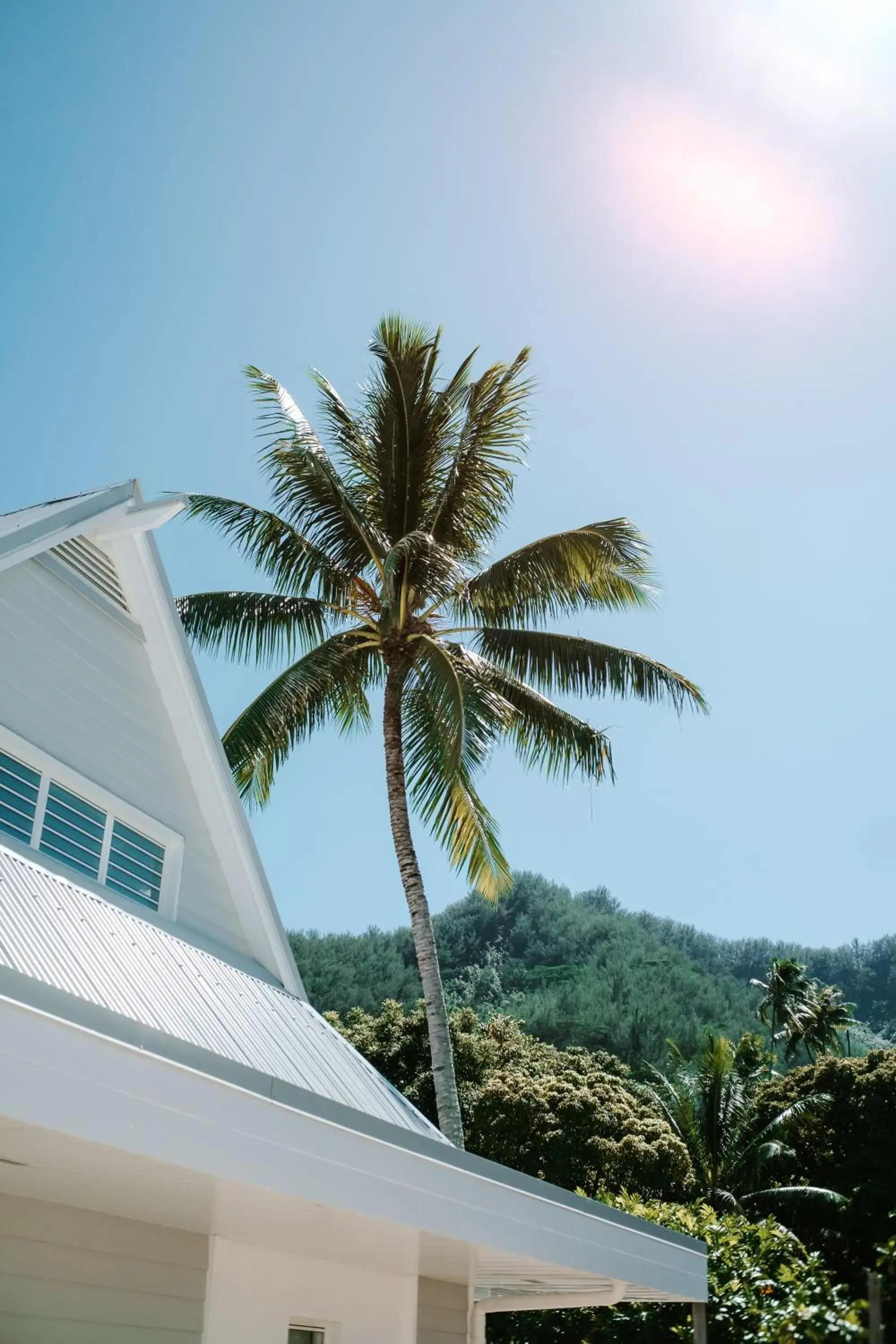 Property building in Niu Beach Hôtel Moorea Property building in Niu Beach Hôtel Moorea