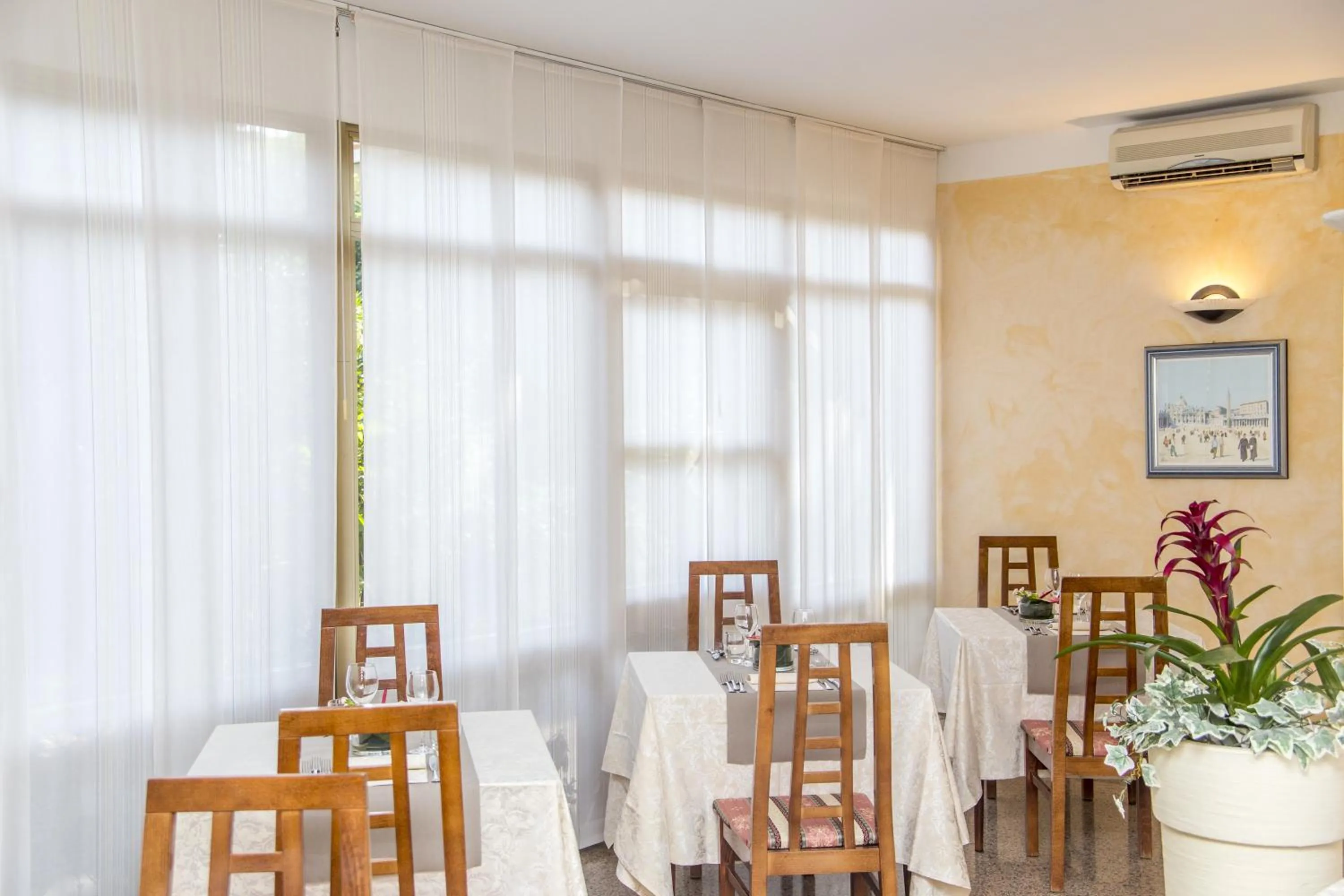 Area and facilities in Hotel Rita