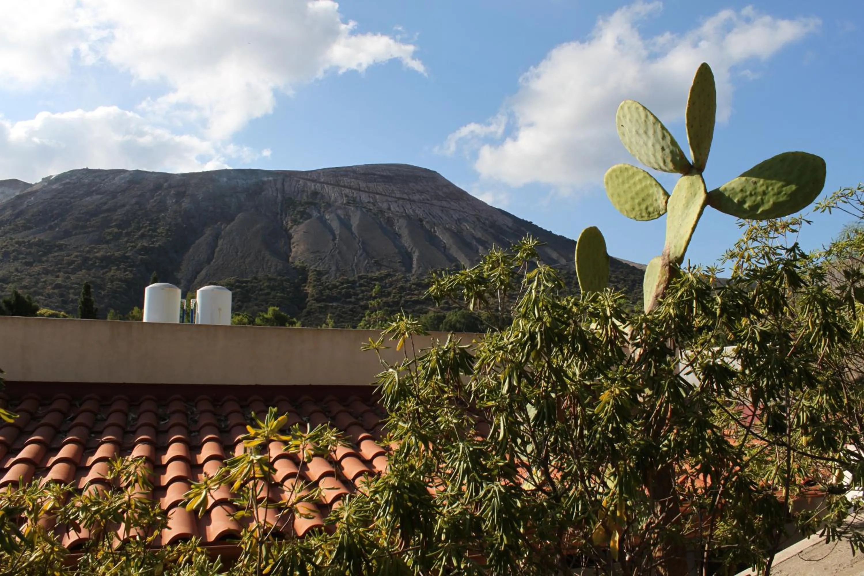 Natural landscape in Casa Schmidt