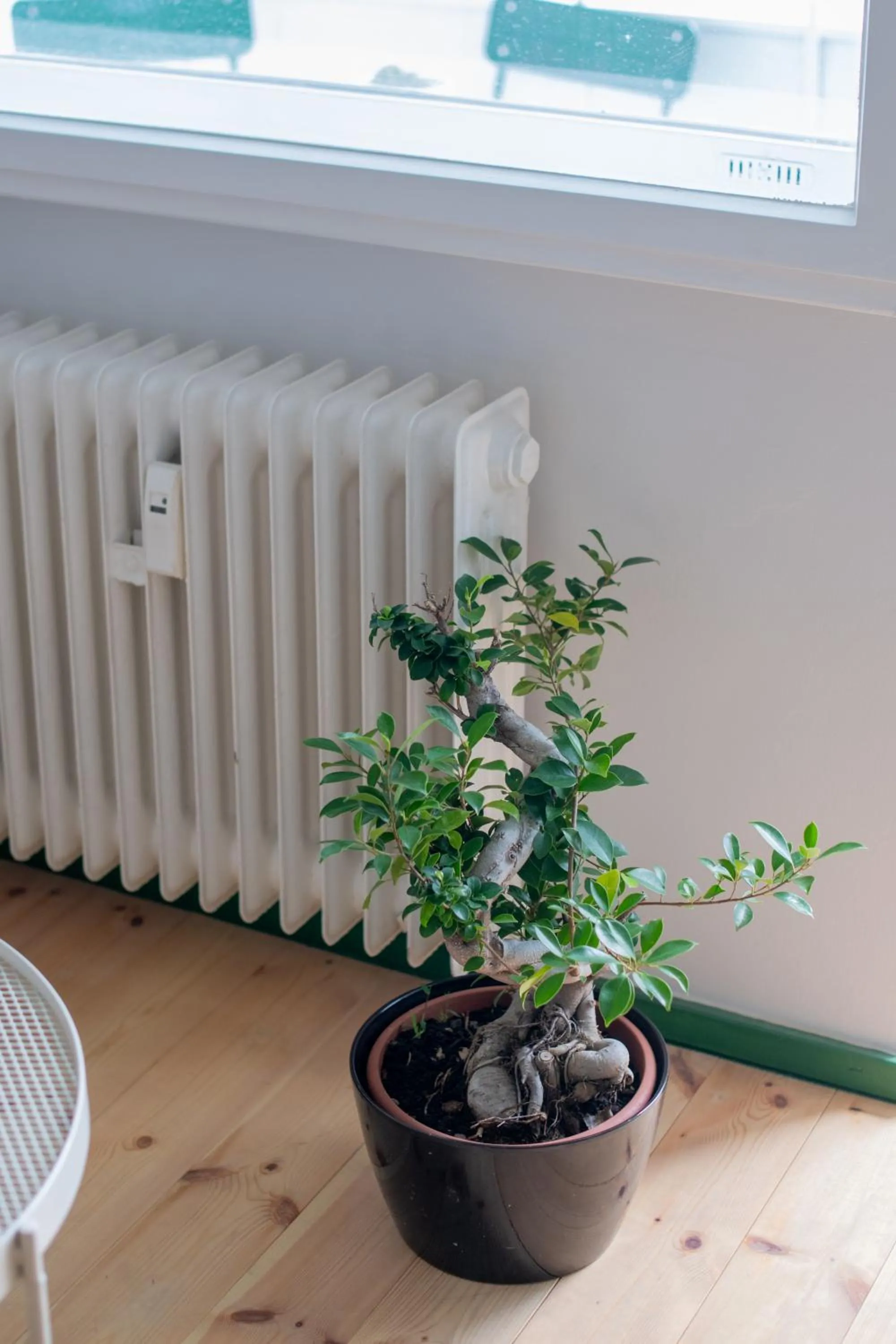 Living room in Flattering - Berlin