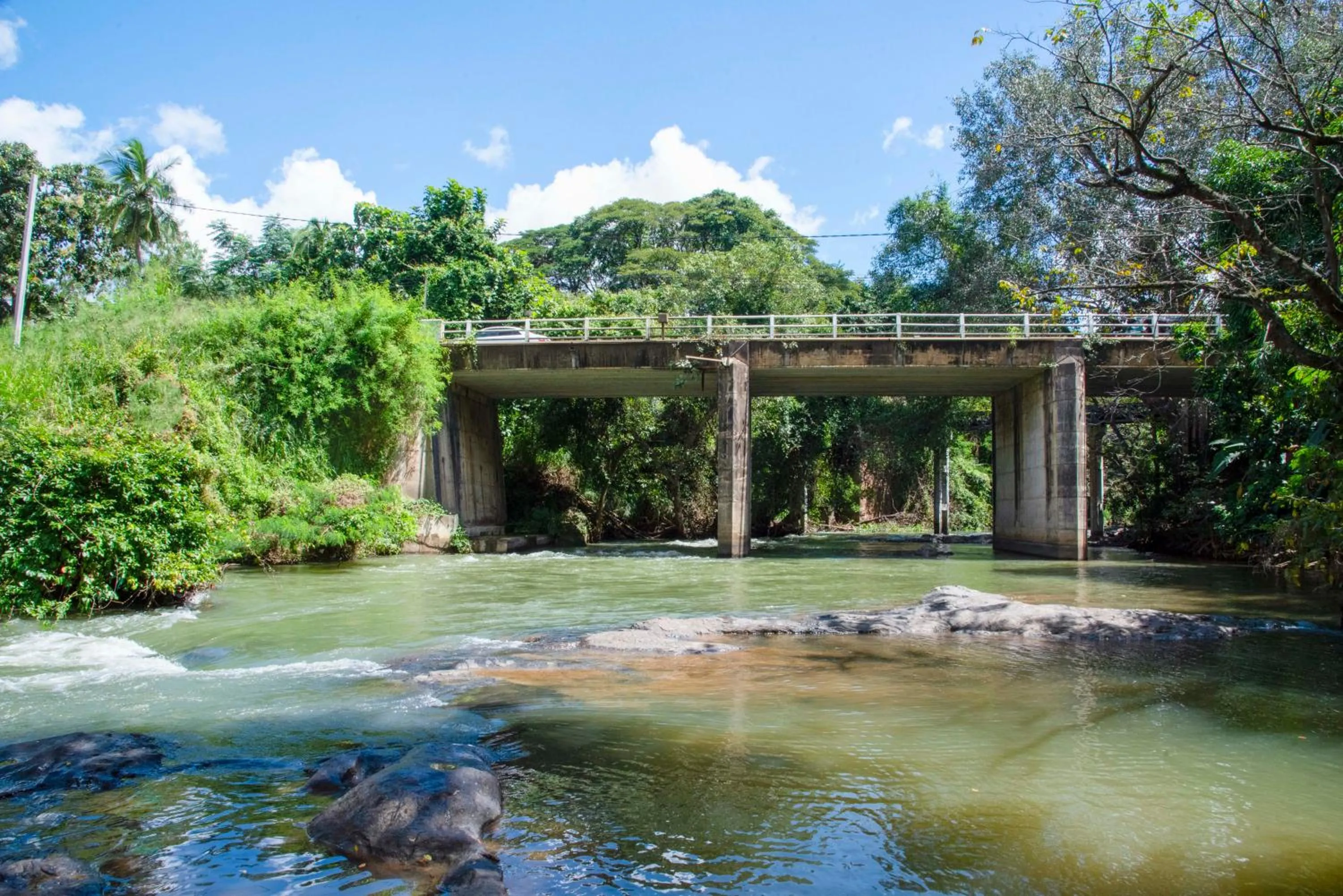 Natural landscape in The New Crown Hotel