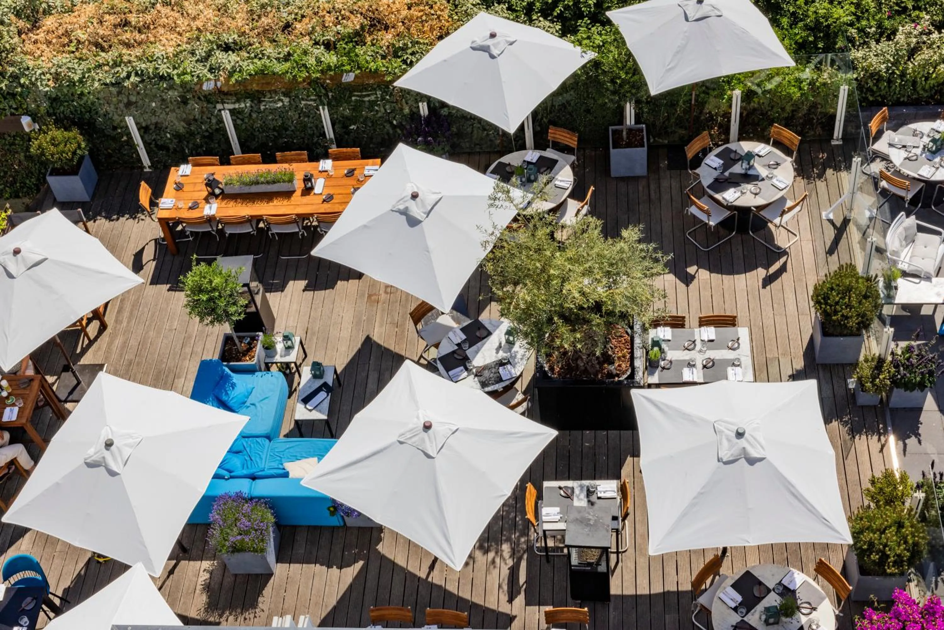 Restaurant/places to eat in Vesper Hotel