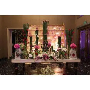 Nightclub / DJ in Tivoli Garden Resort