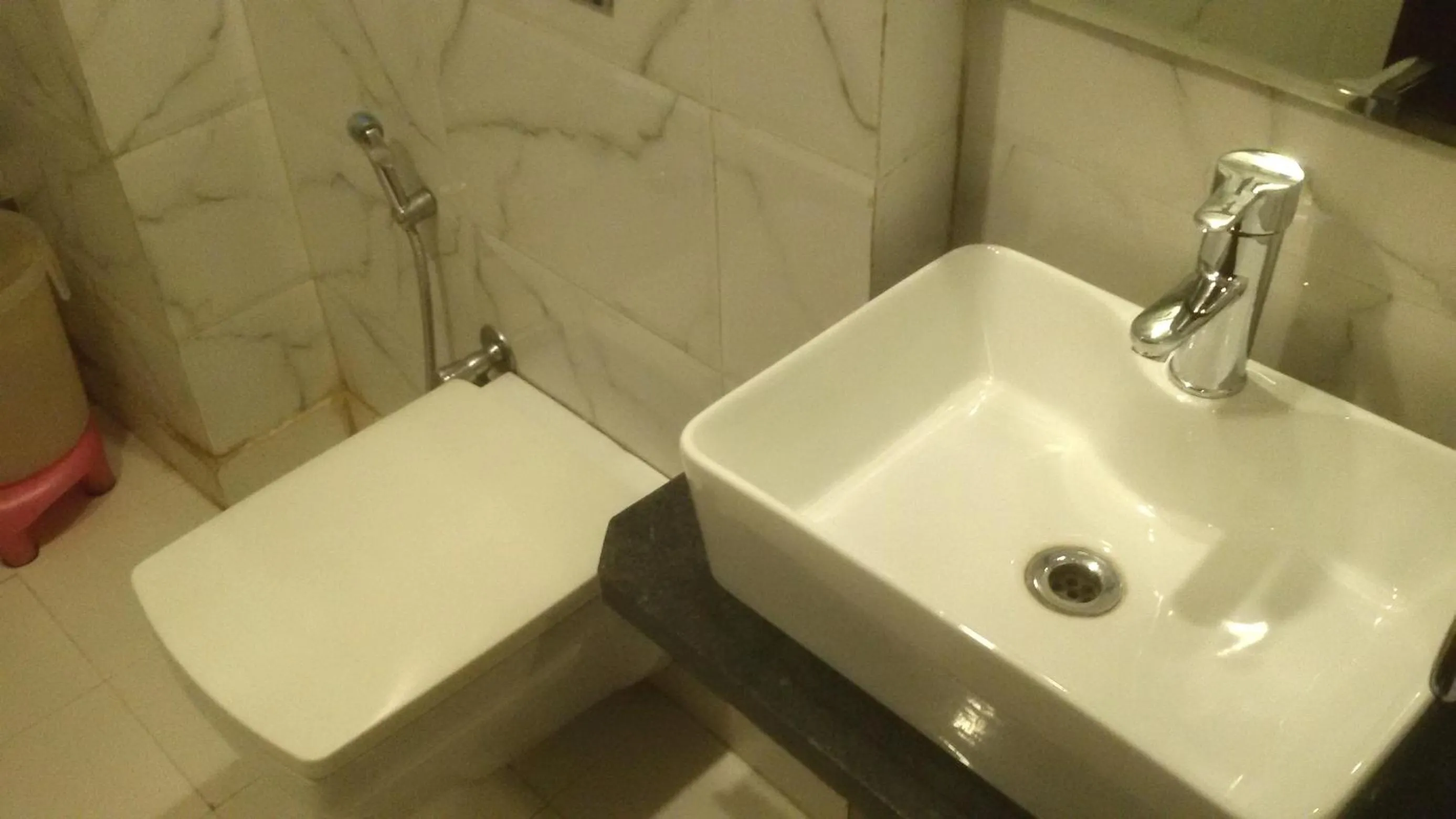 Double or Twin Room in Hotel Saffron Inn