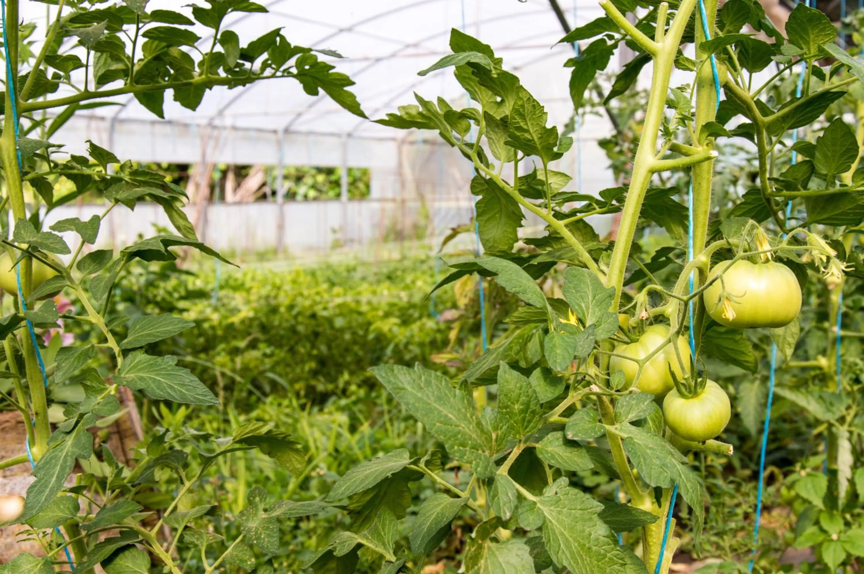 Other in Casa Codesal Apartamentos