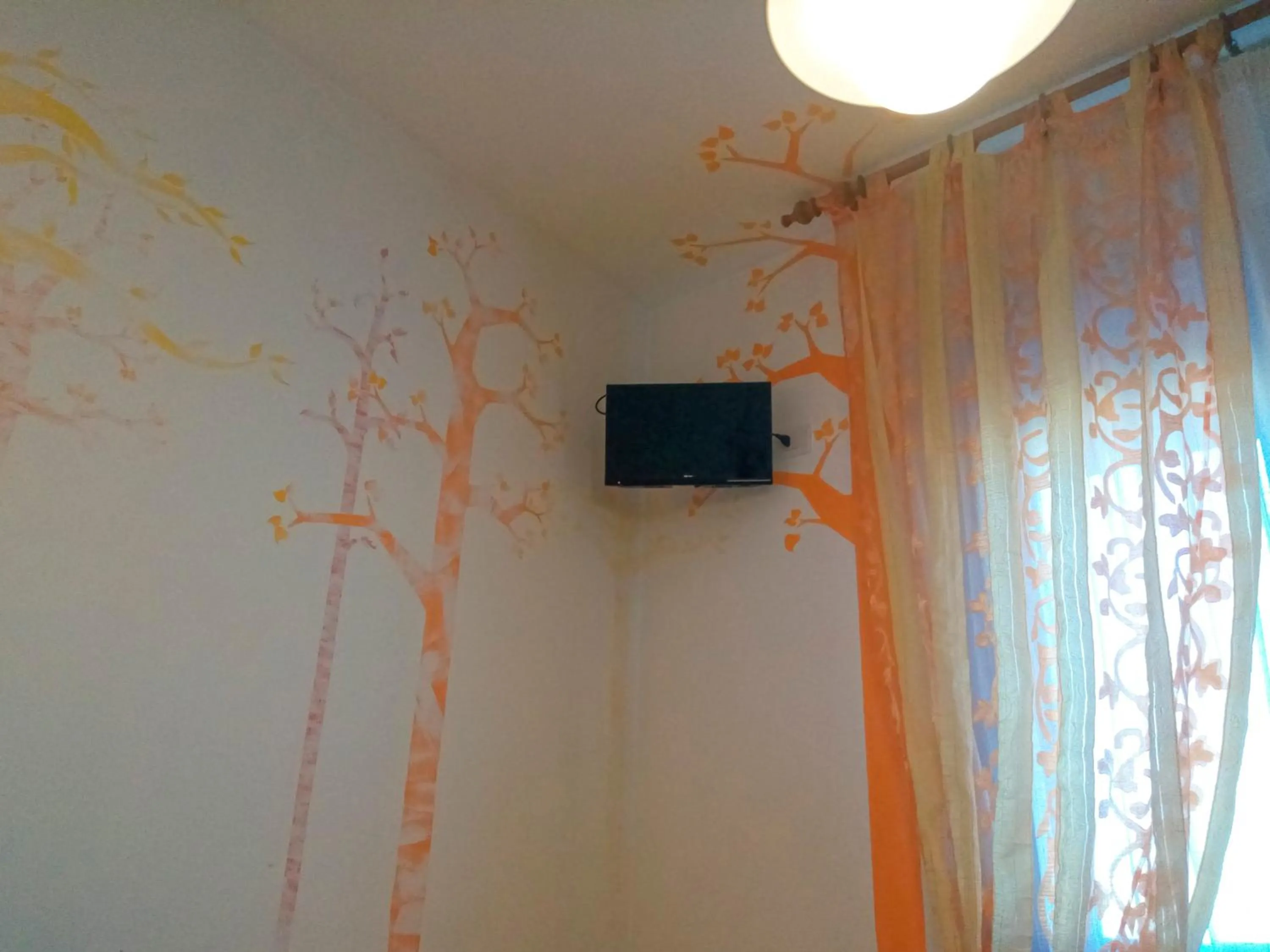 TV and multimedia in B&B dai Carari