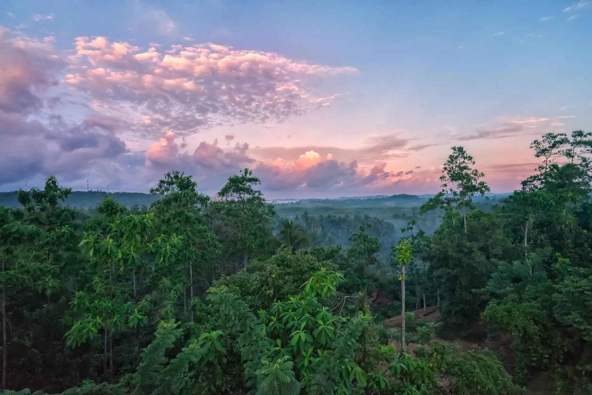 Natural landscape in Villa Amma Erna - Galle