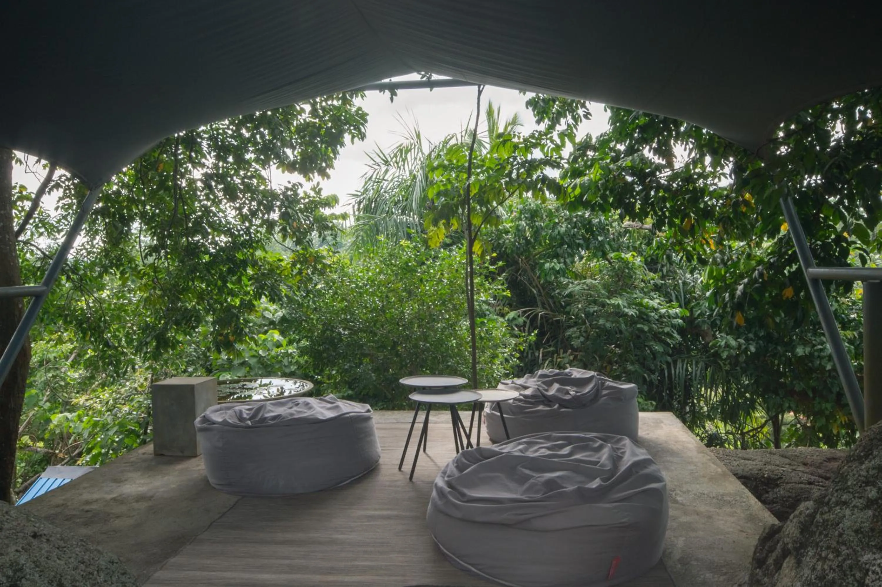 Lounge or bar in Villa Amma Erna - Galle