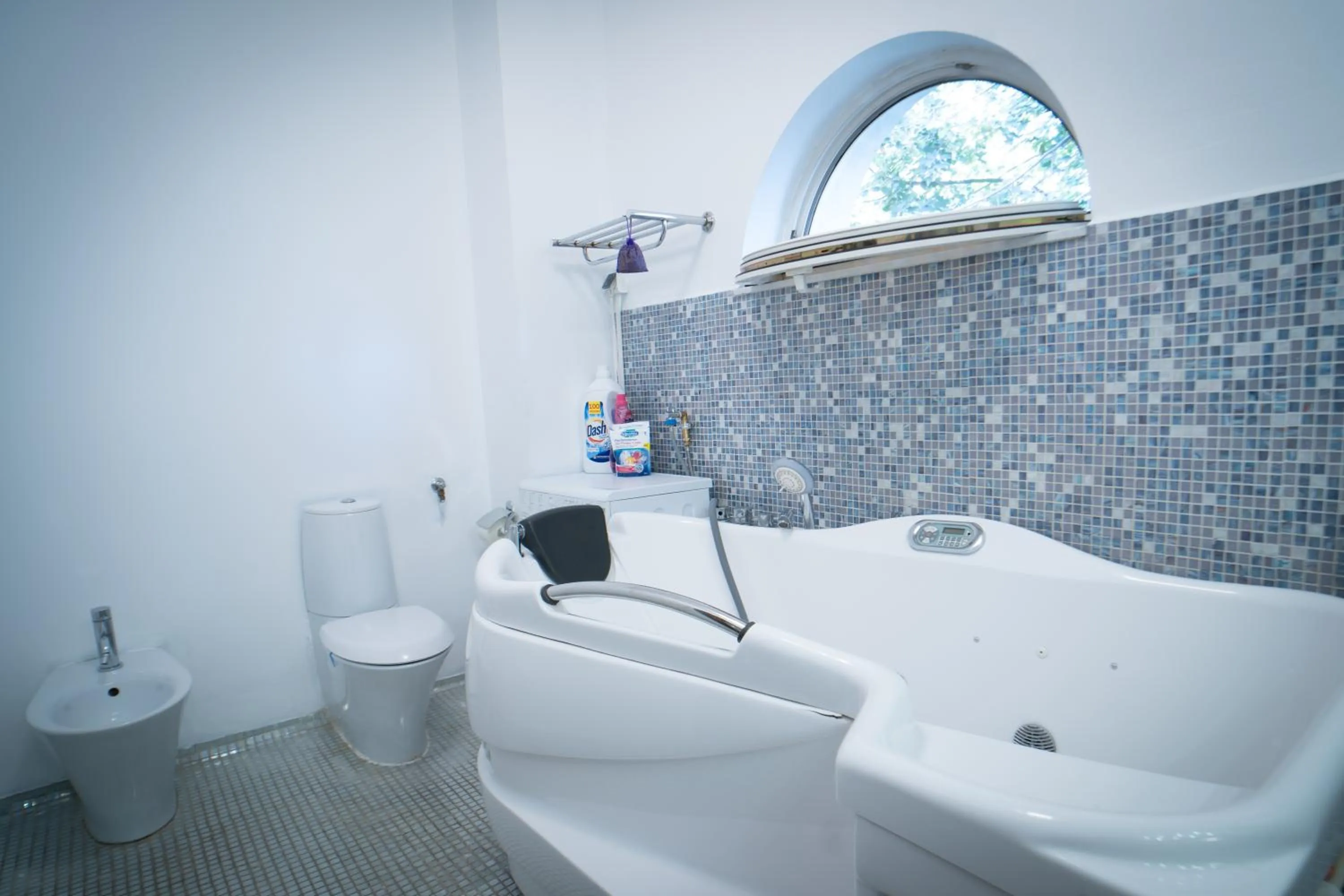 Bathroom in Luxuria Central Villa Bucharest