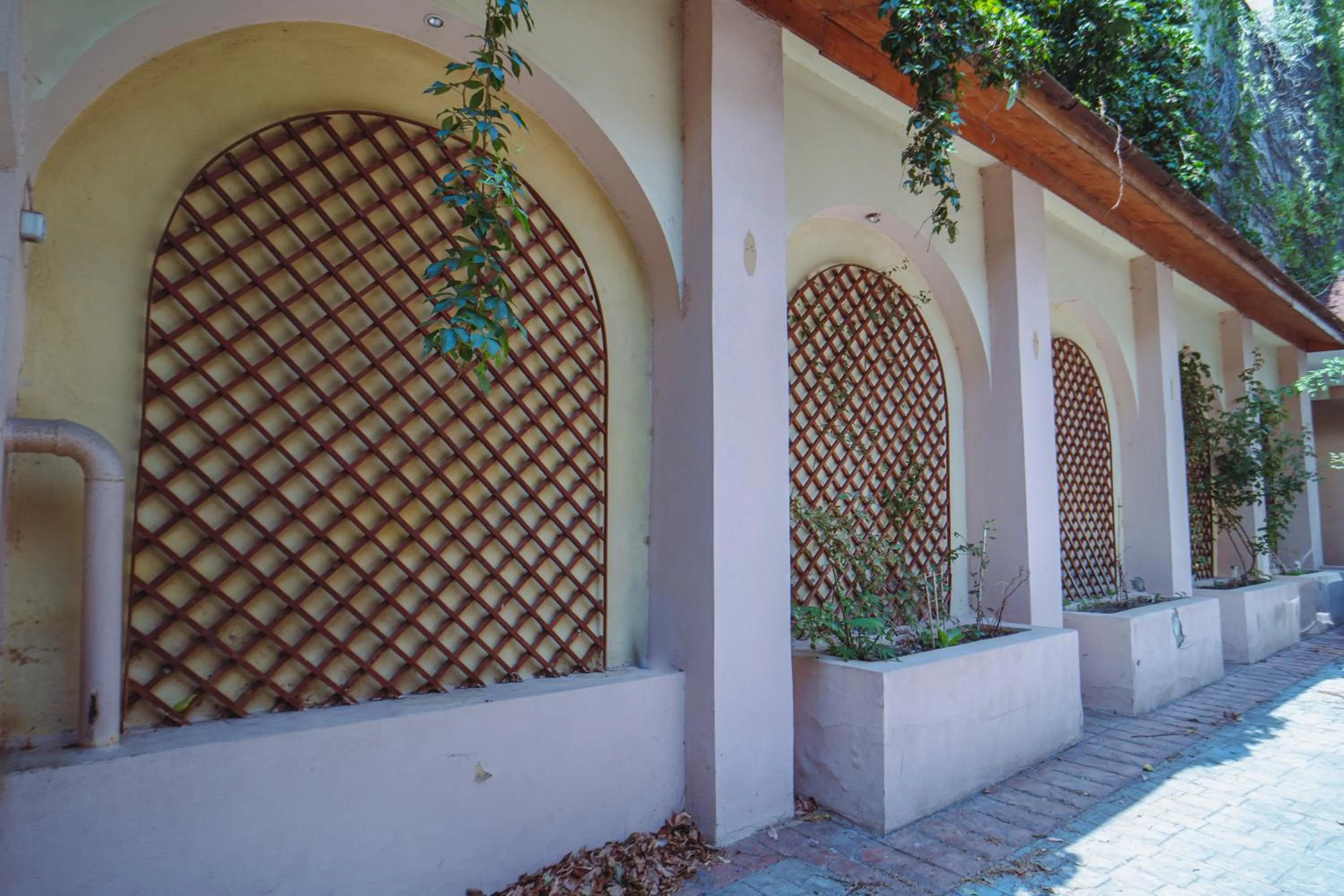 Luxuria Central Villa Bucharest