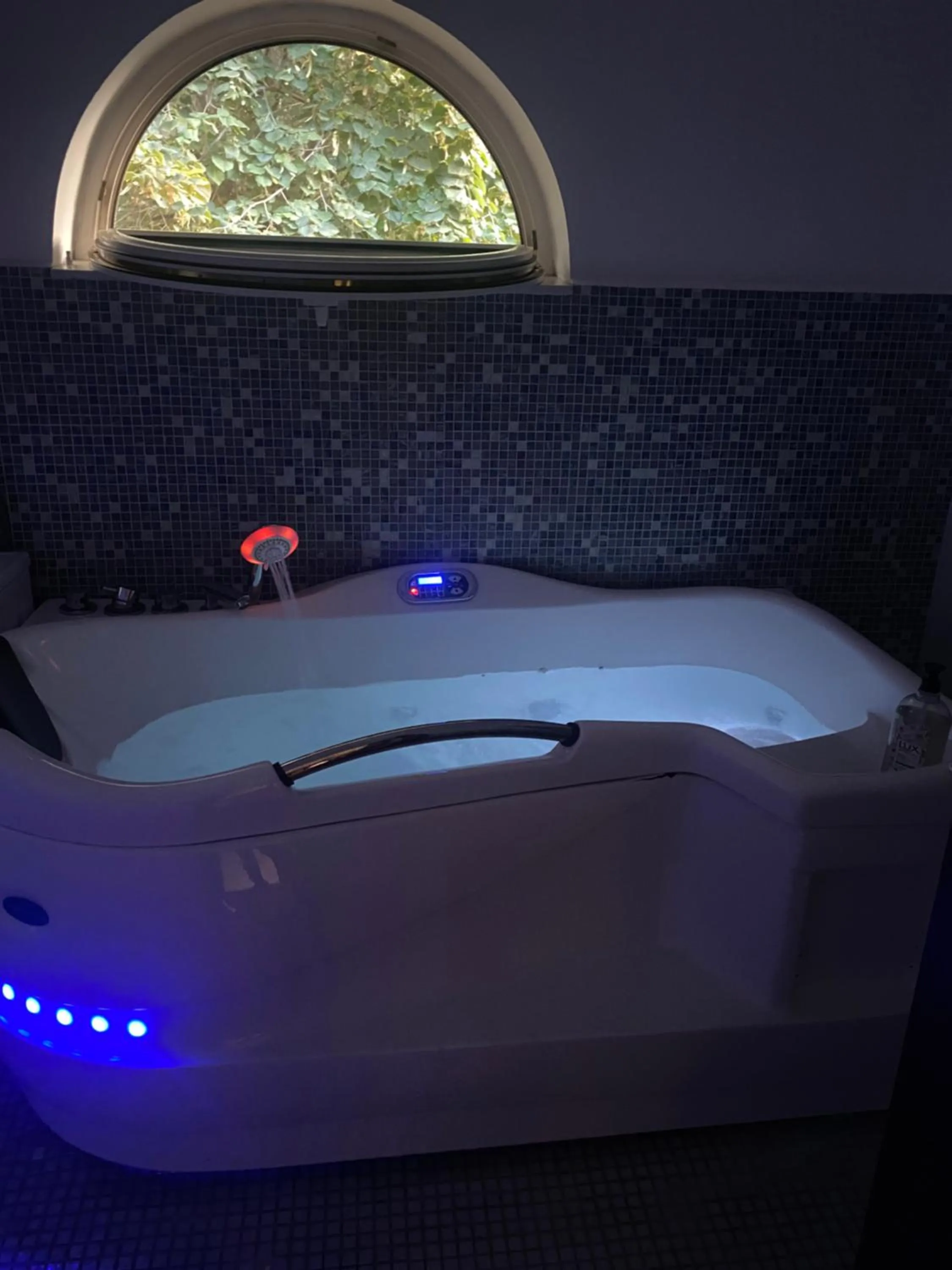 Luxuria Central Villa Bucharest