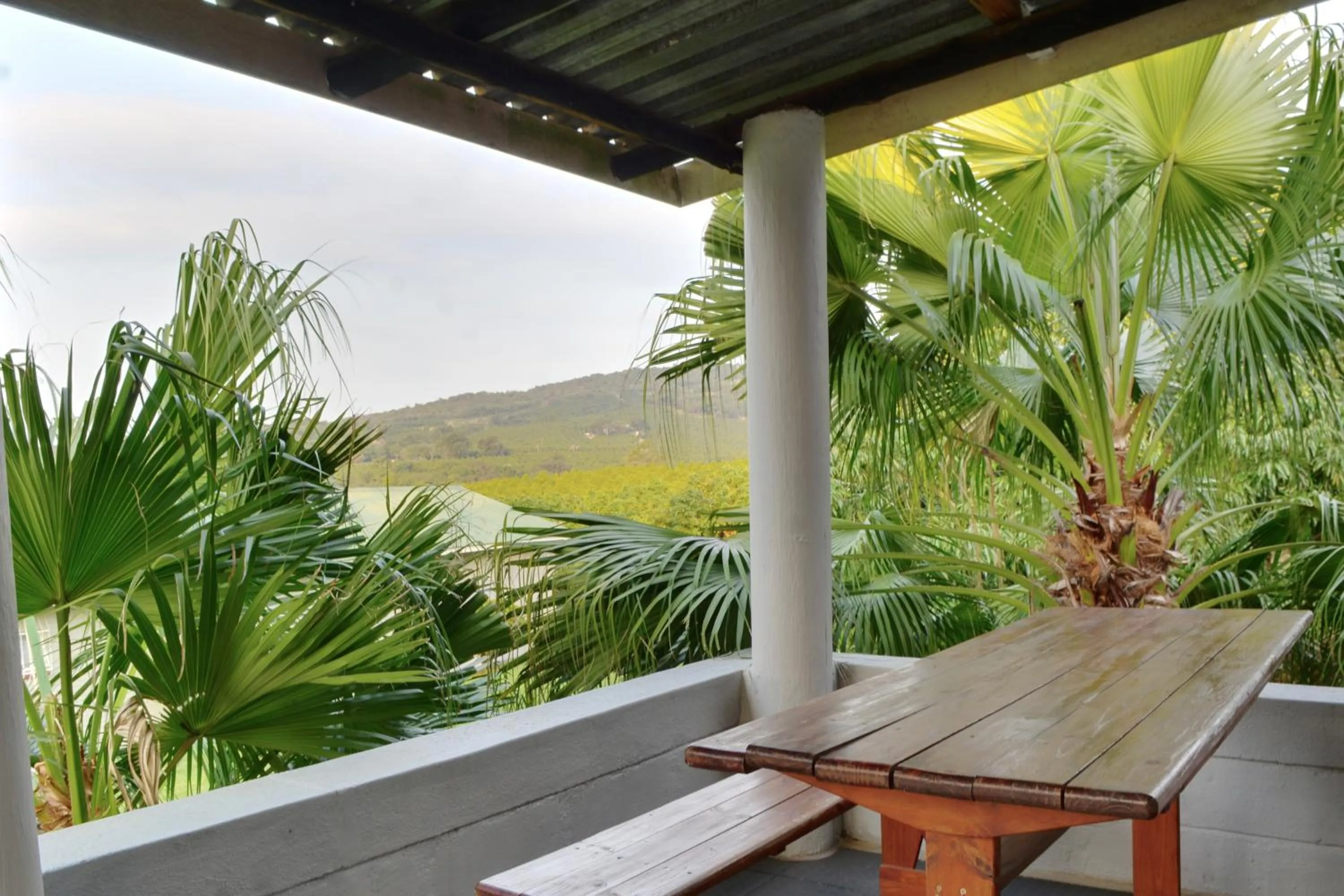 Garden view in Oppi Plaas