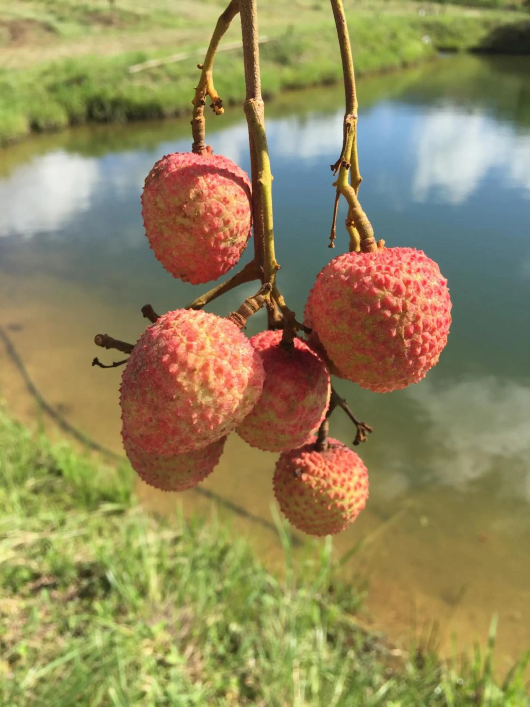 View (from property/room) in Oppi Plaas
