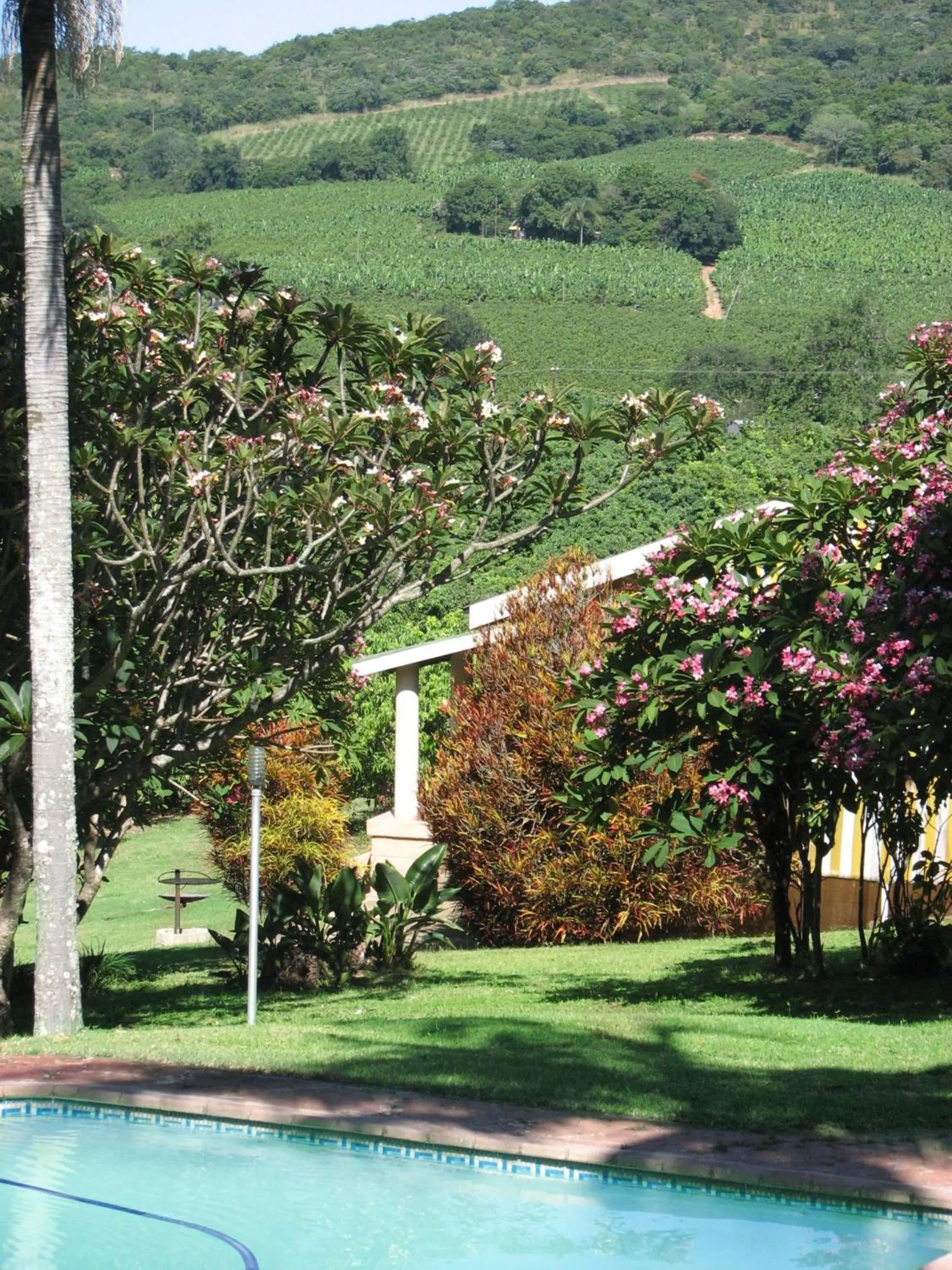 Summer in Oppi Plaas