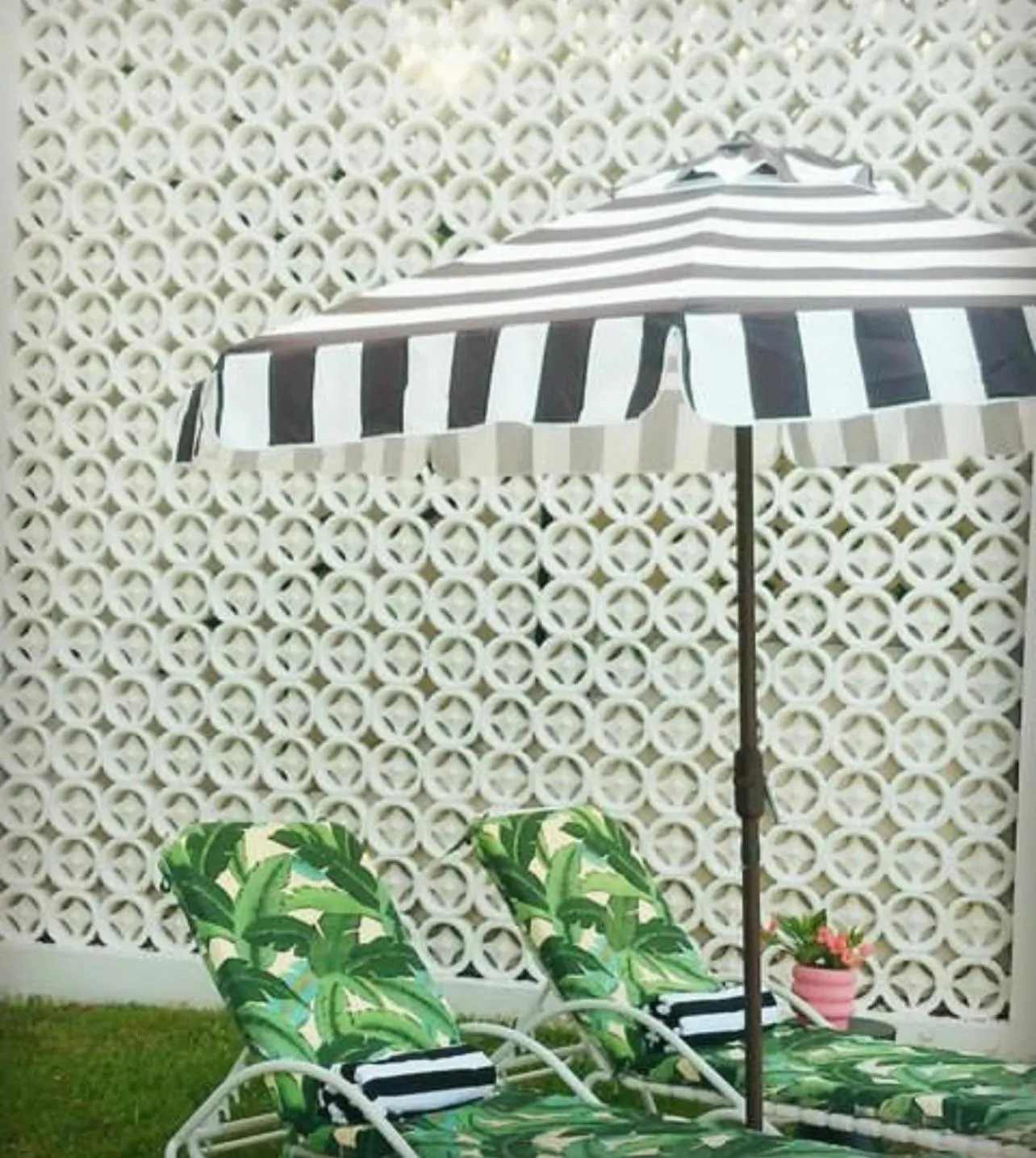 Garden in Fernando Flats