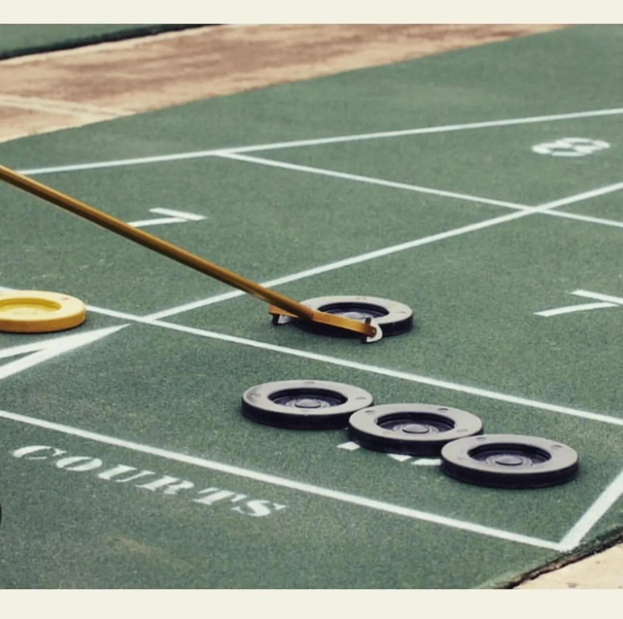 Garden in Fernando Flats