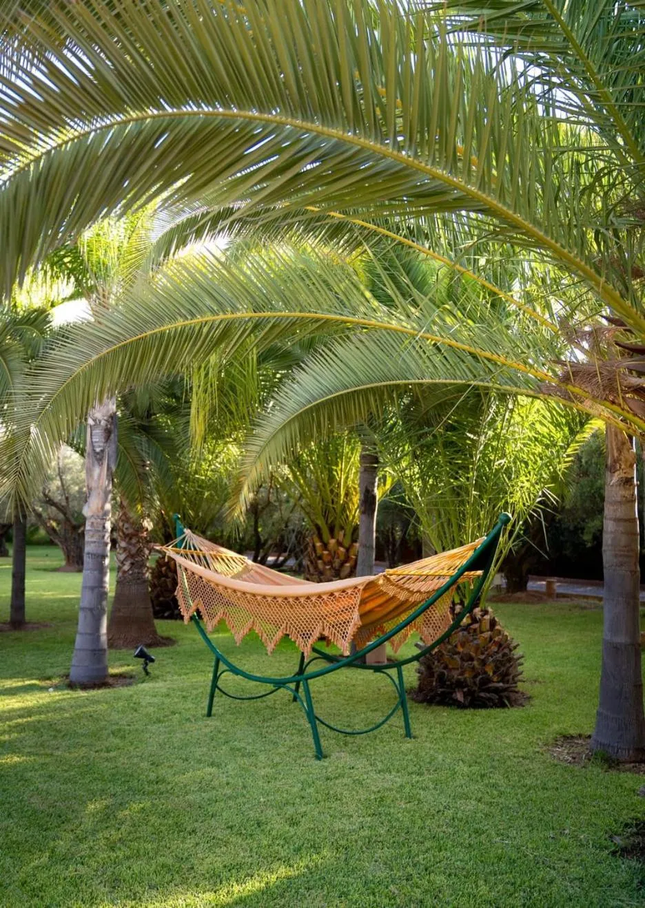 Garden view in Palais Hassoun Marrakech