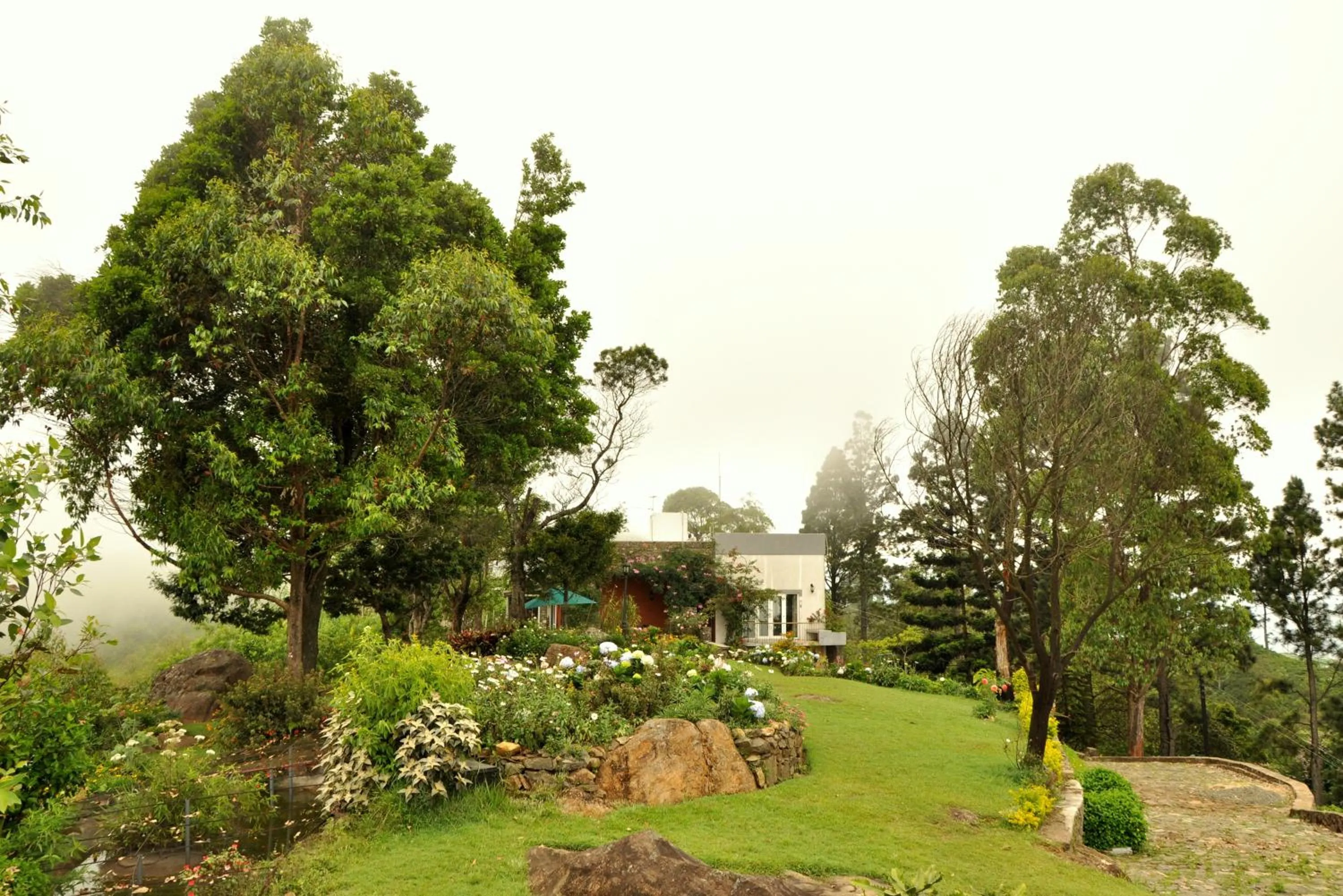 Garden view in Clouds Holiday Bungalow