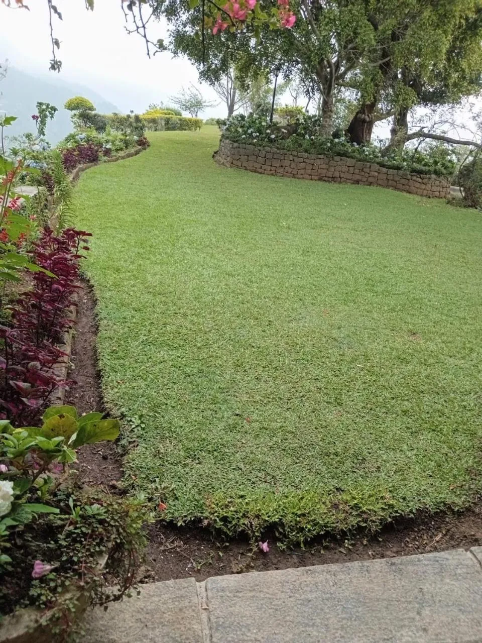 Garden in Clouds Holiday Bungalow