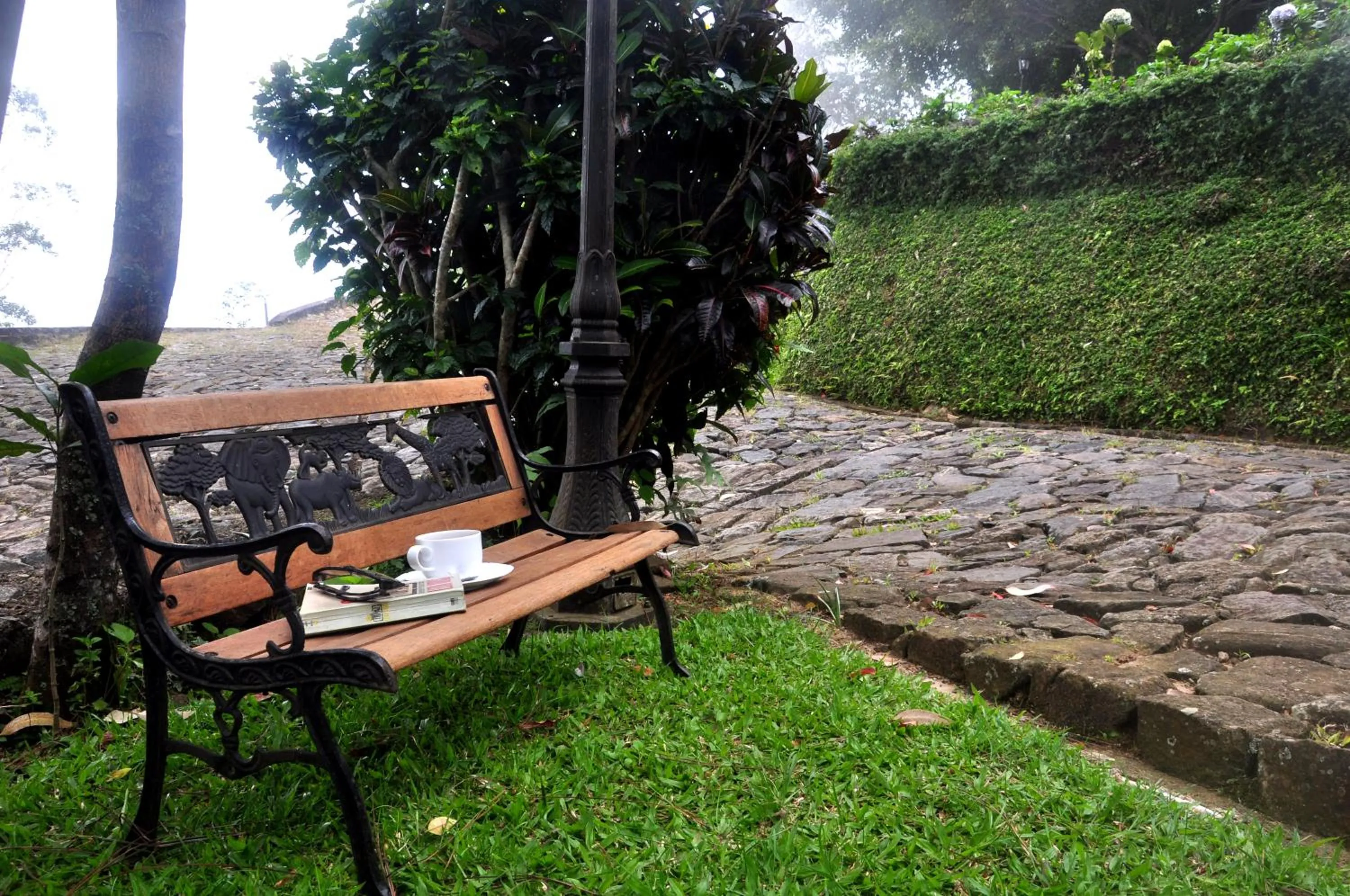 Garden in Clouds Holiday Bungalow