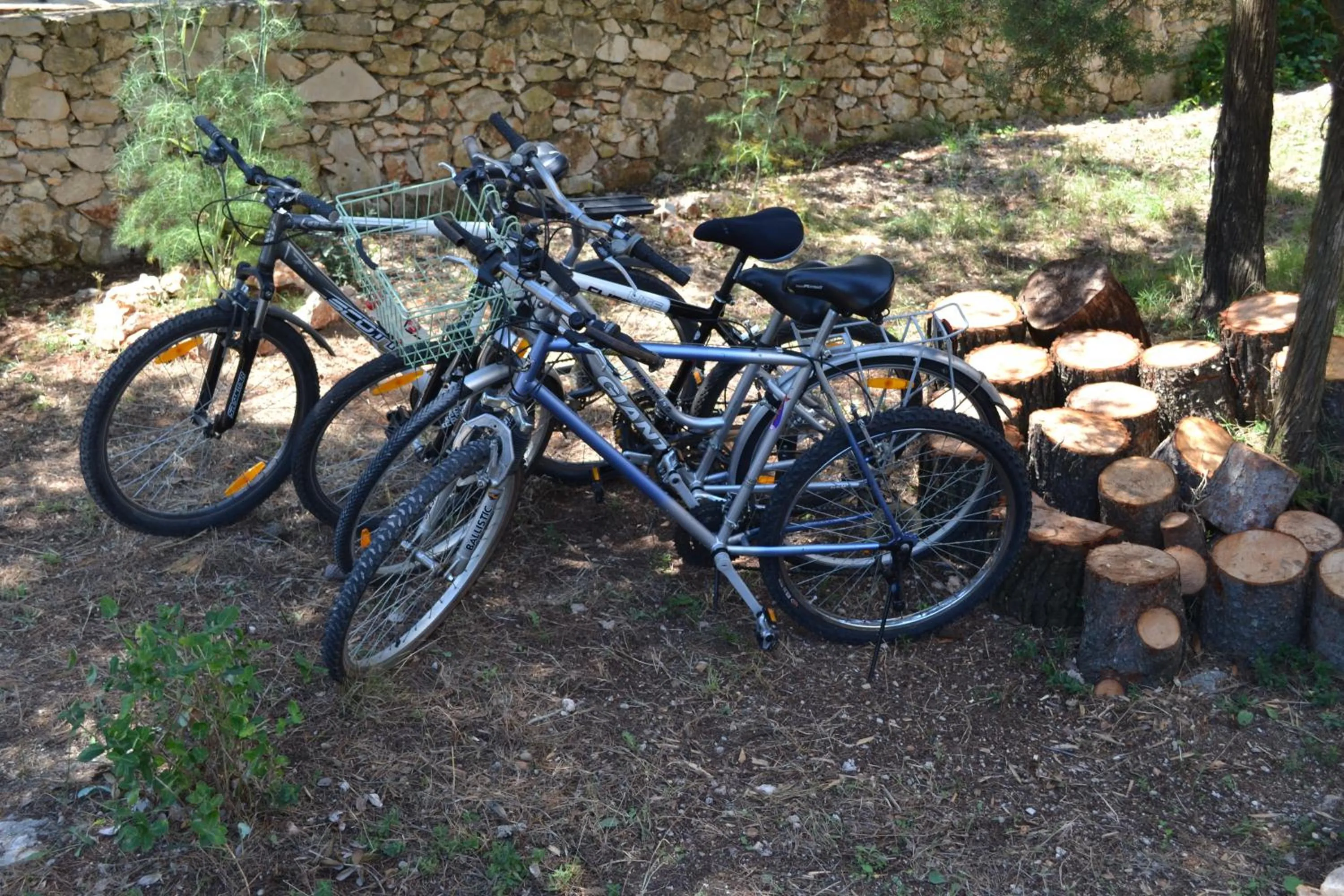Cycling in Apartment Hvar Bike