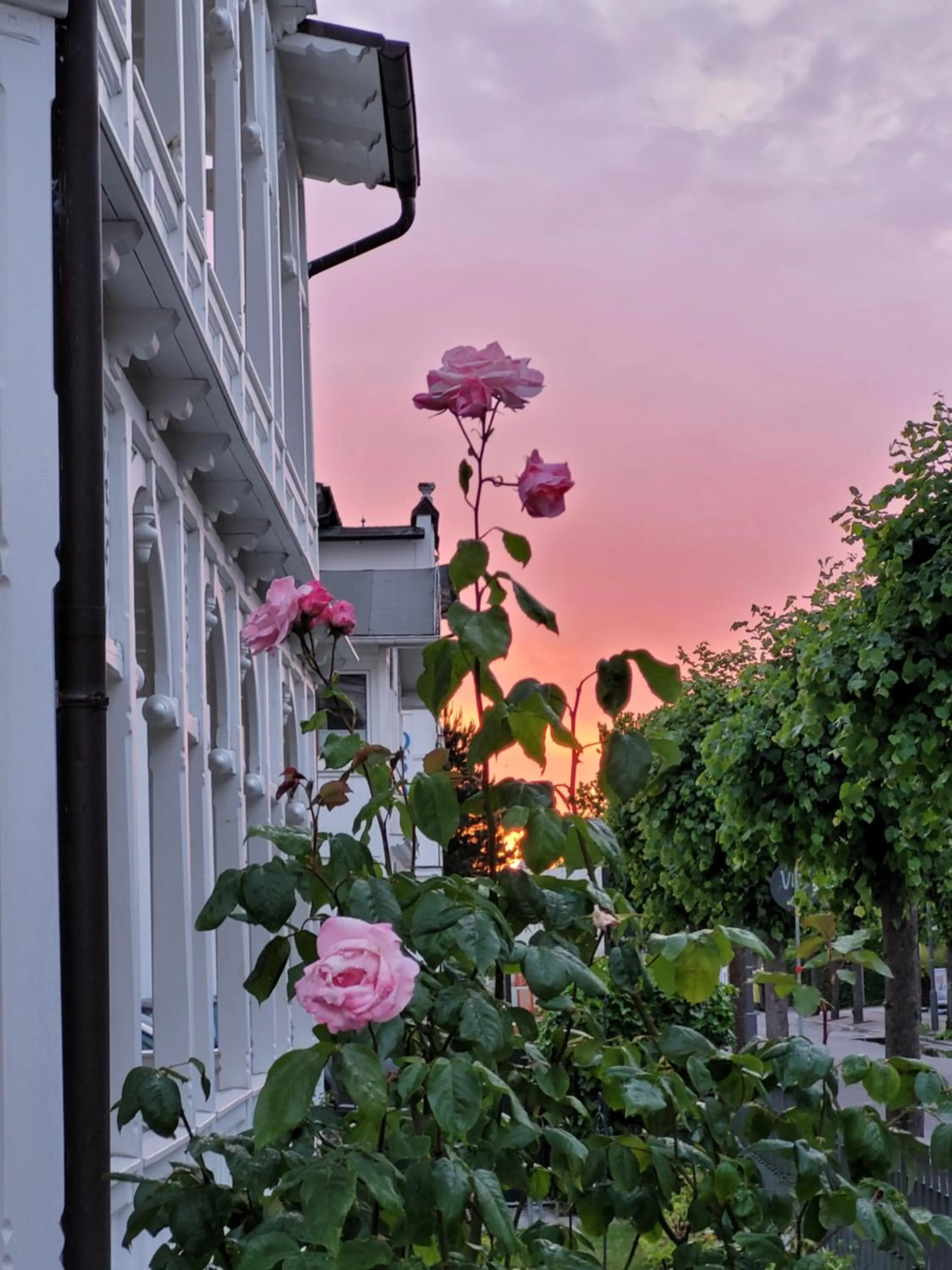 Property building in Hotel Villa Meeresgruss