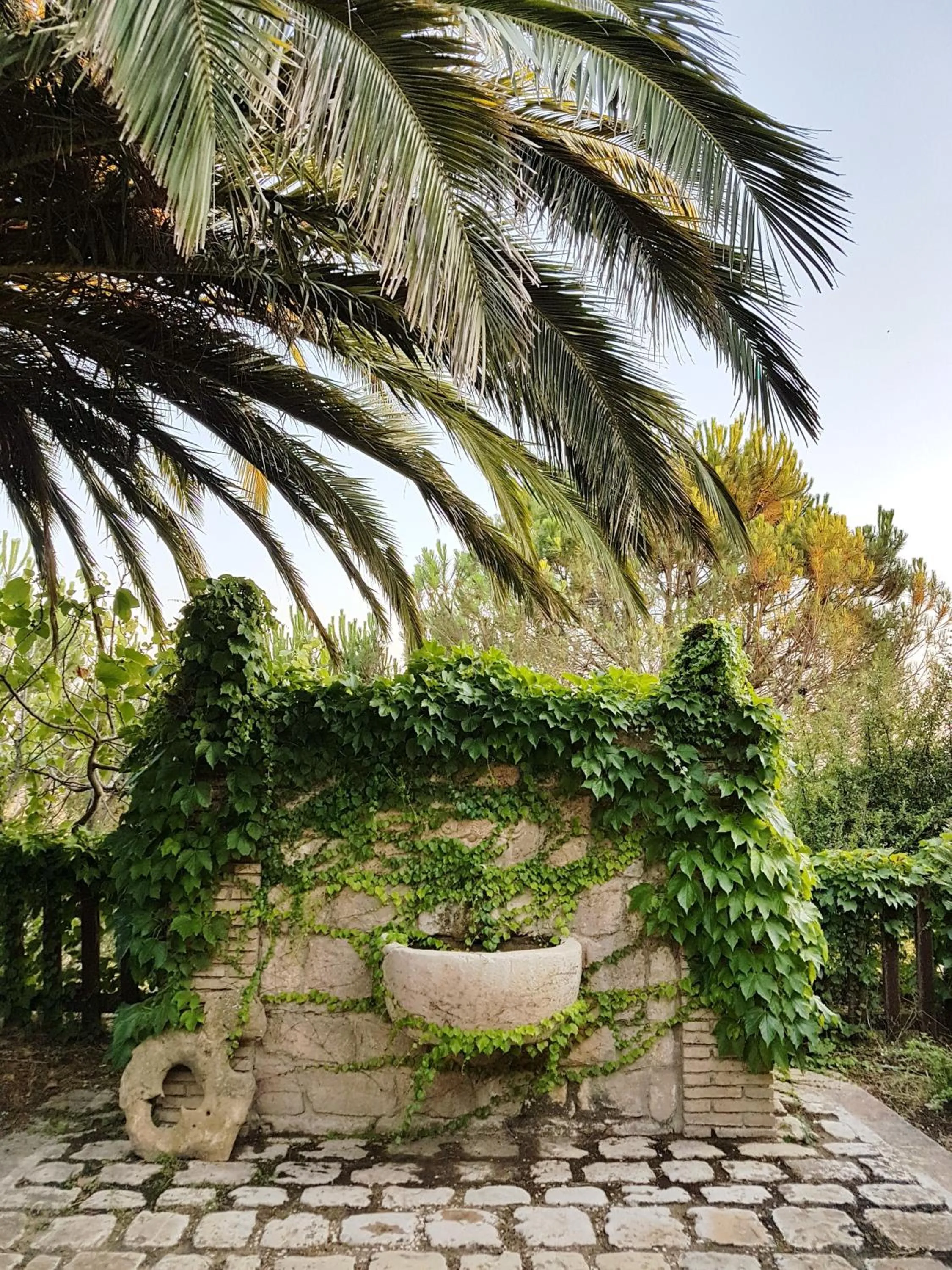 Agriturismo Il Drago