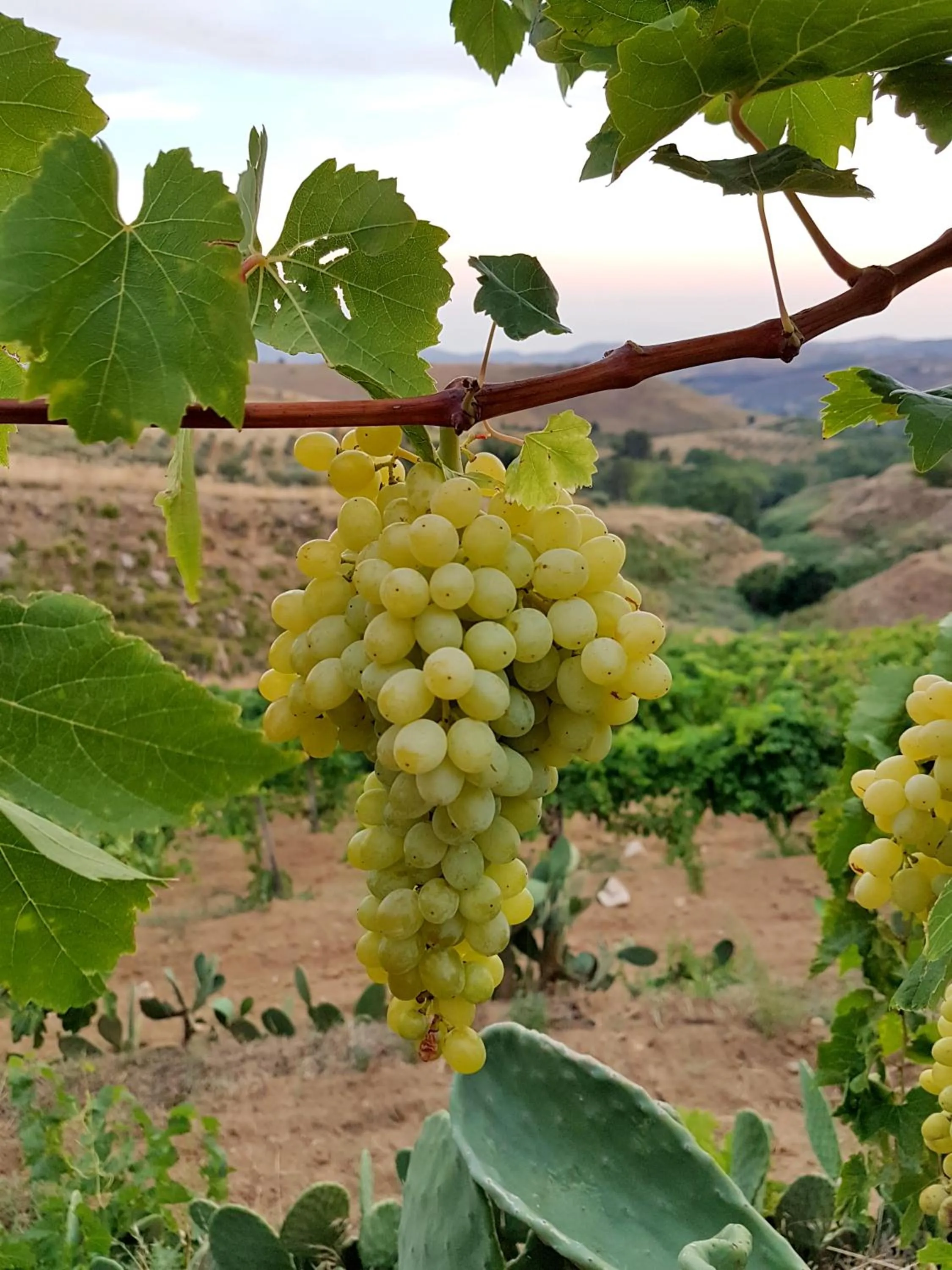 Agriturismo Il Drago