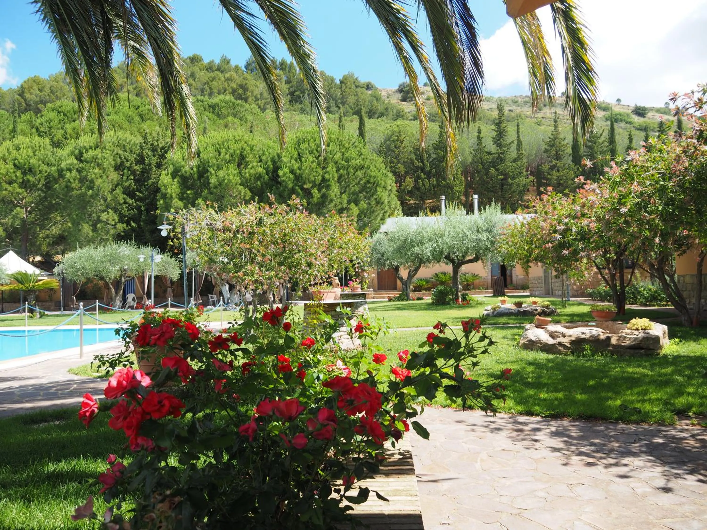 Agriturismo Il Drago