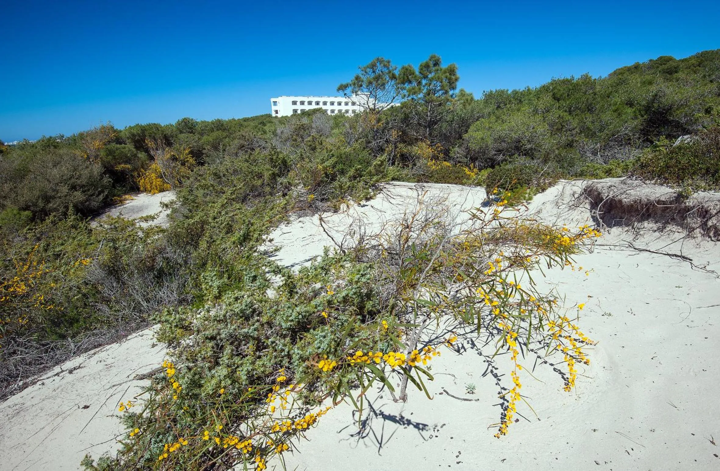 Beach in Ecoresort Le Sirene - Caroli Hotels