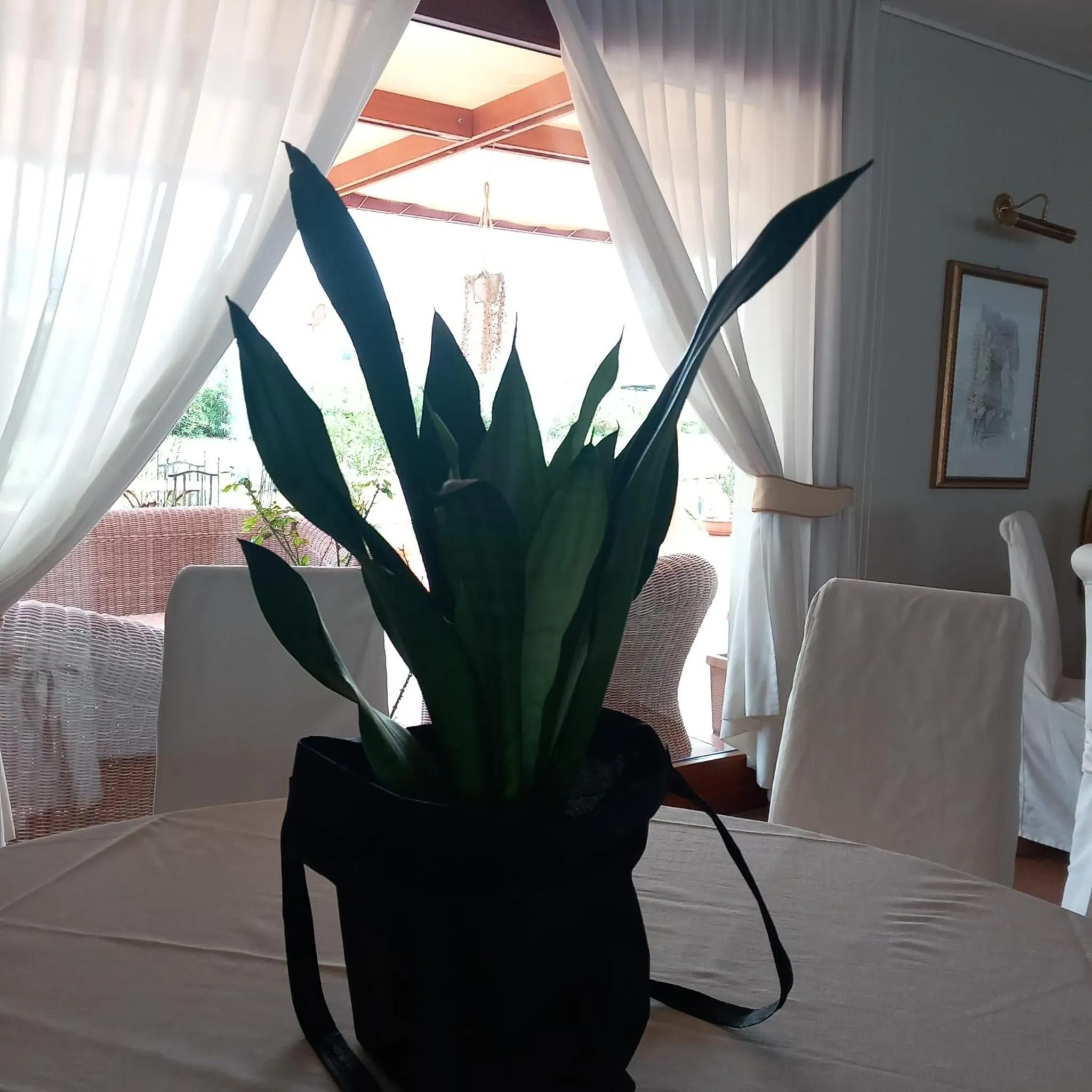 Restaurant/places to eat, Bed in Hotel La Lampara